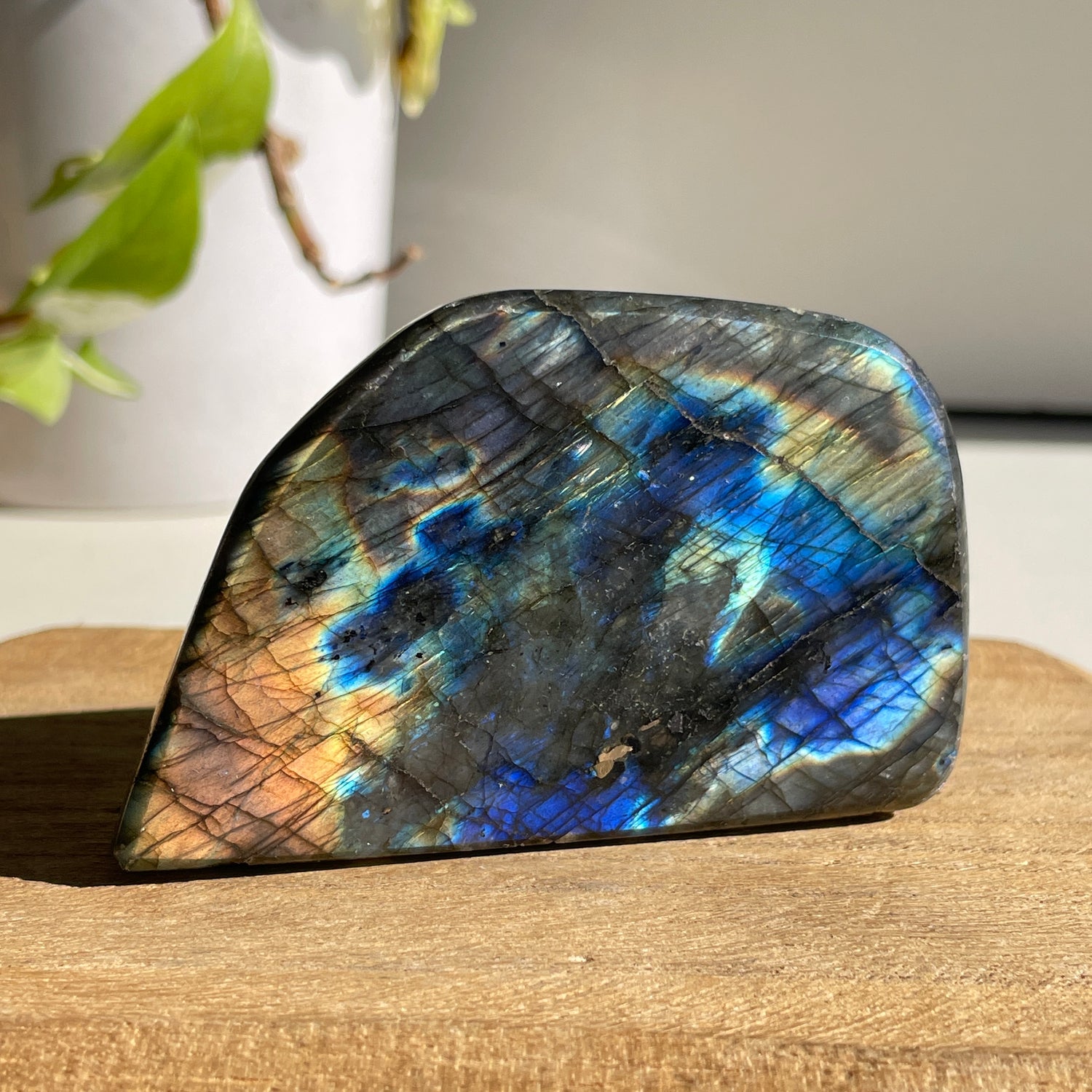 Labradorite Freeform 194g