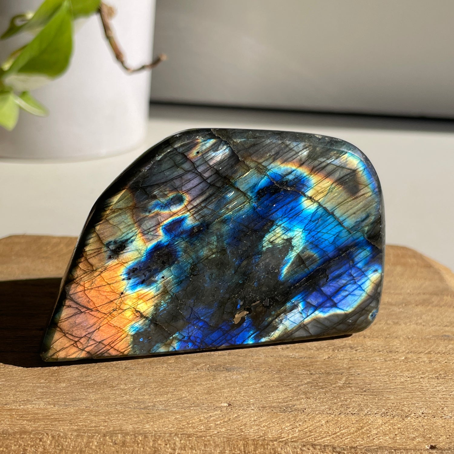 Labradorite Freeform 194g