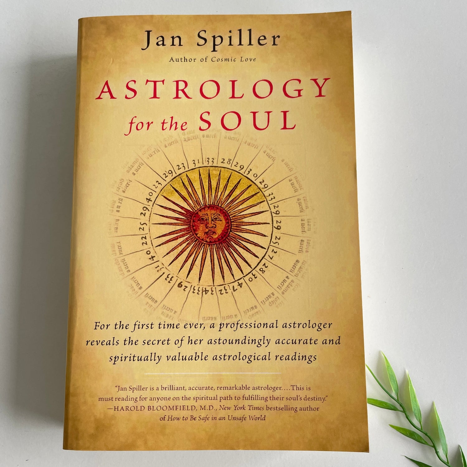 Astrology For The Soul Jan Spiller