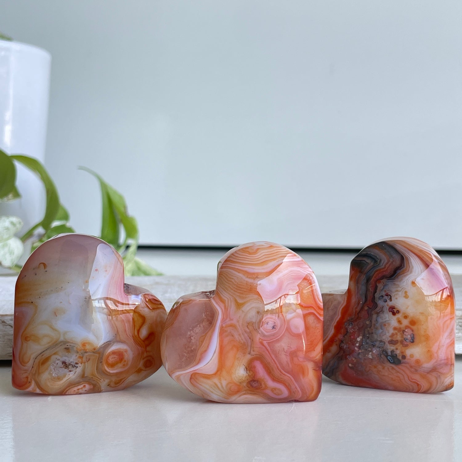 Sardonyx Heart Med
