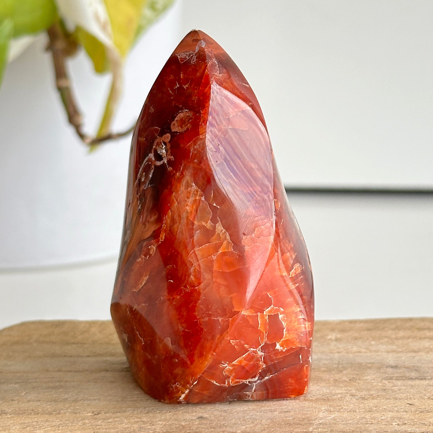 Carnelian Flame 7.3cm