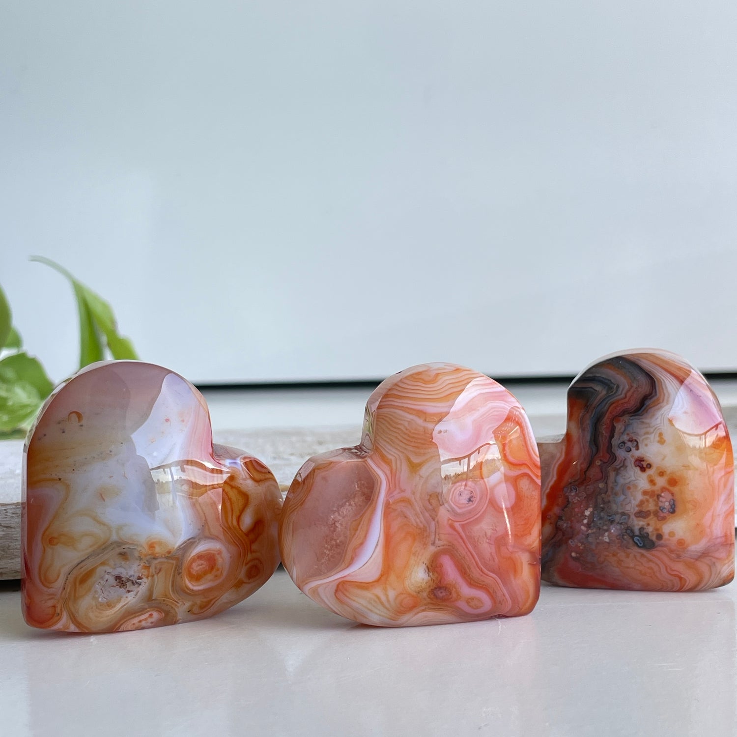 Sardonyx Heart Med
