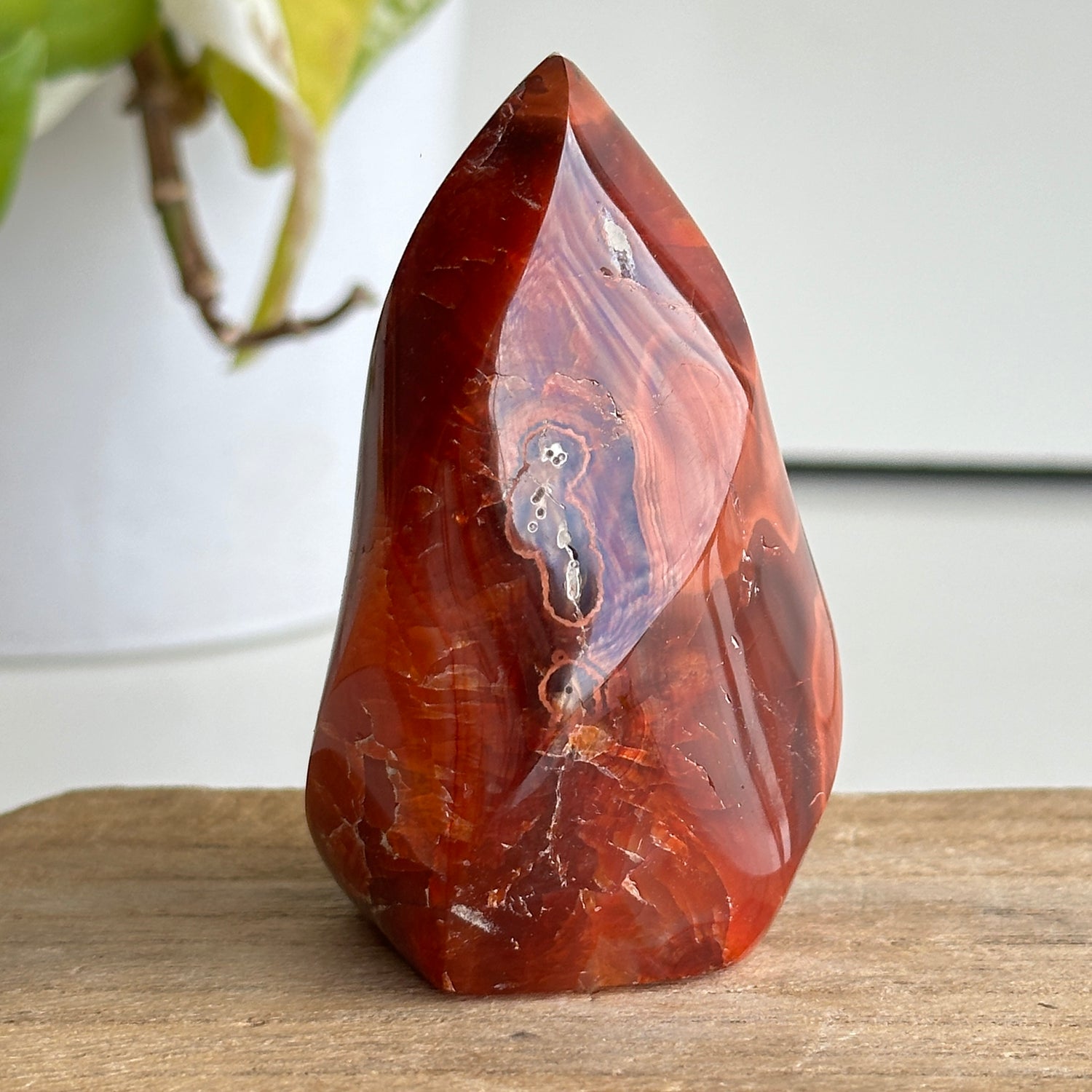 Carnelian Flame 7.3cm