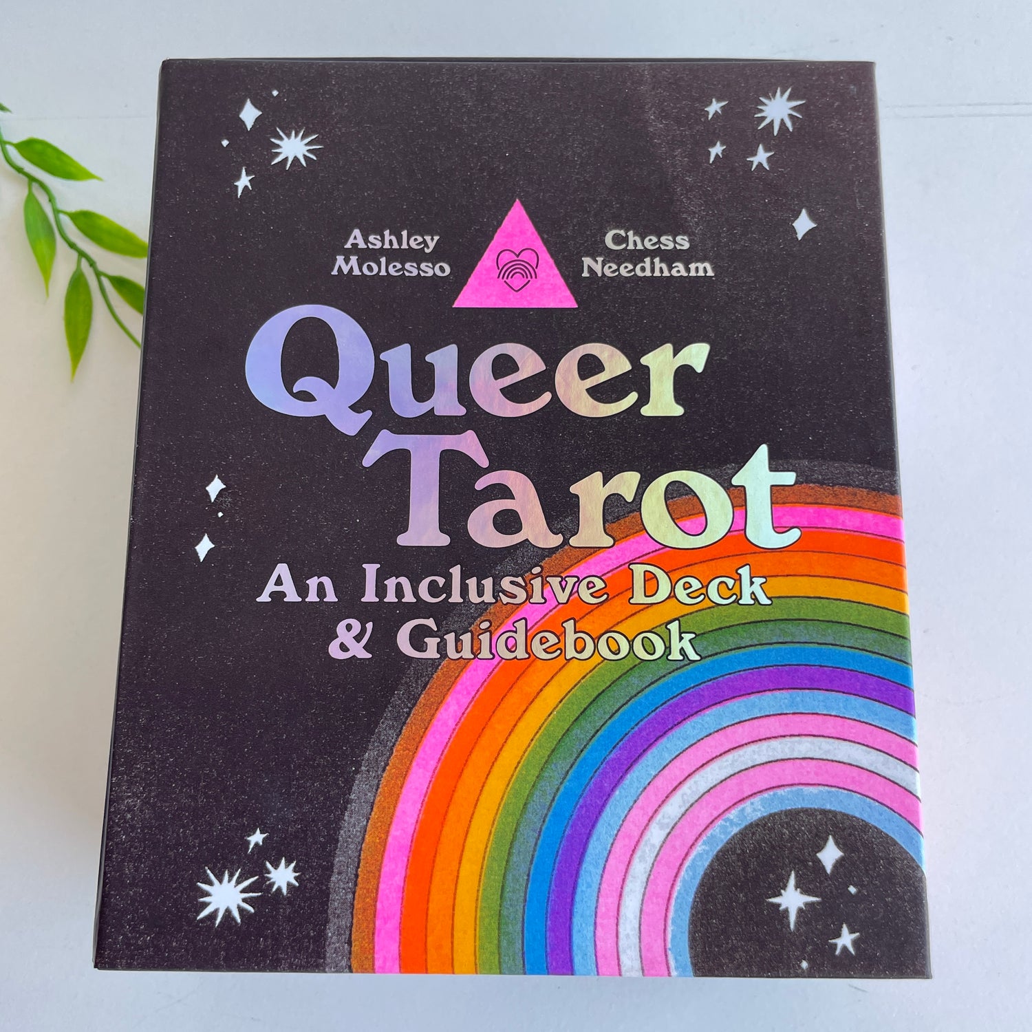 Queer Tarot Cards Ashley Molesso