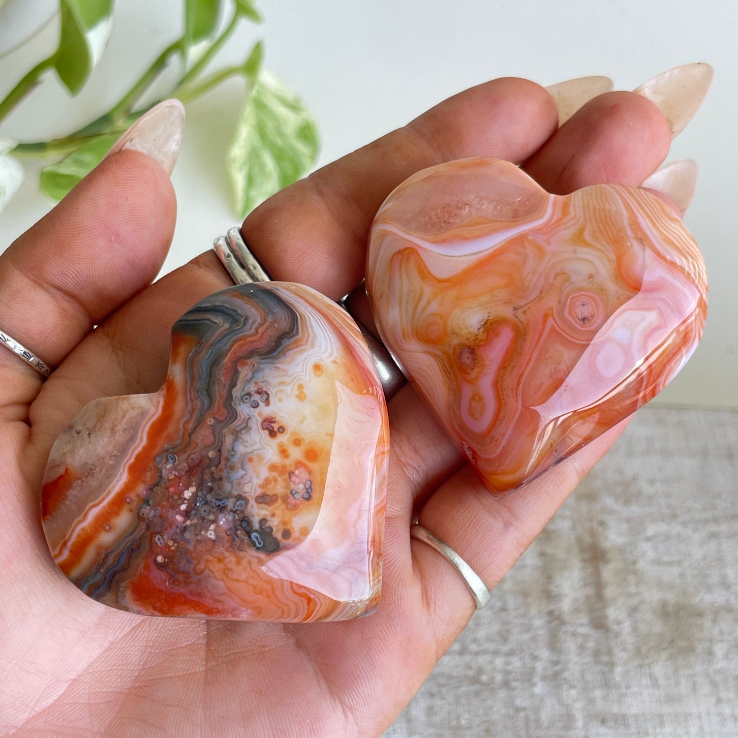 Sardonyx Heart Med