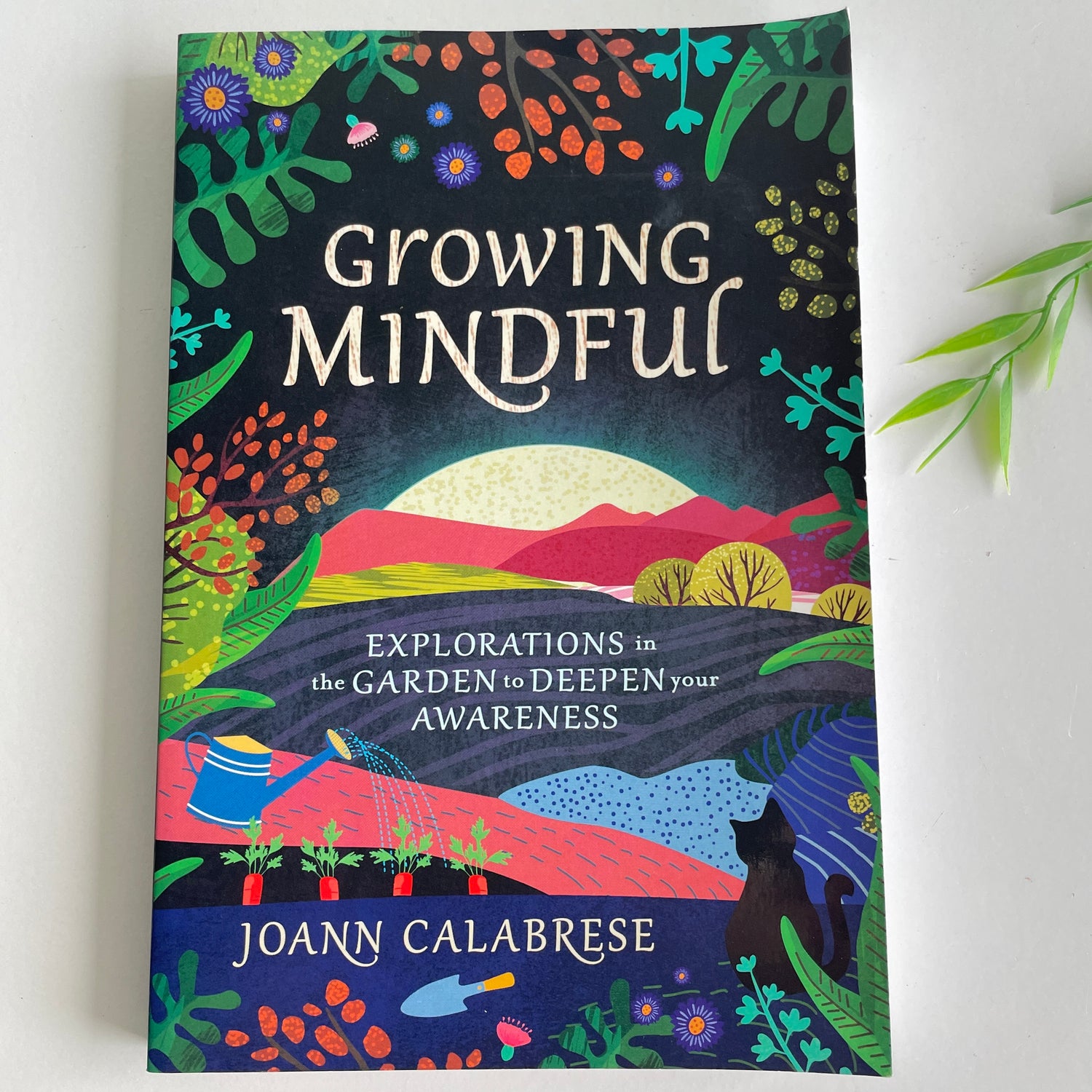 Growing Mindful Joann Calabrese