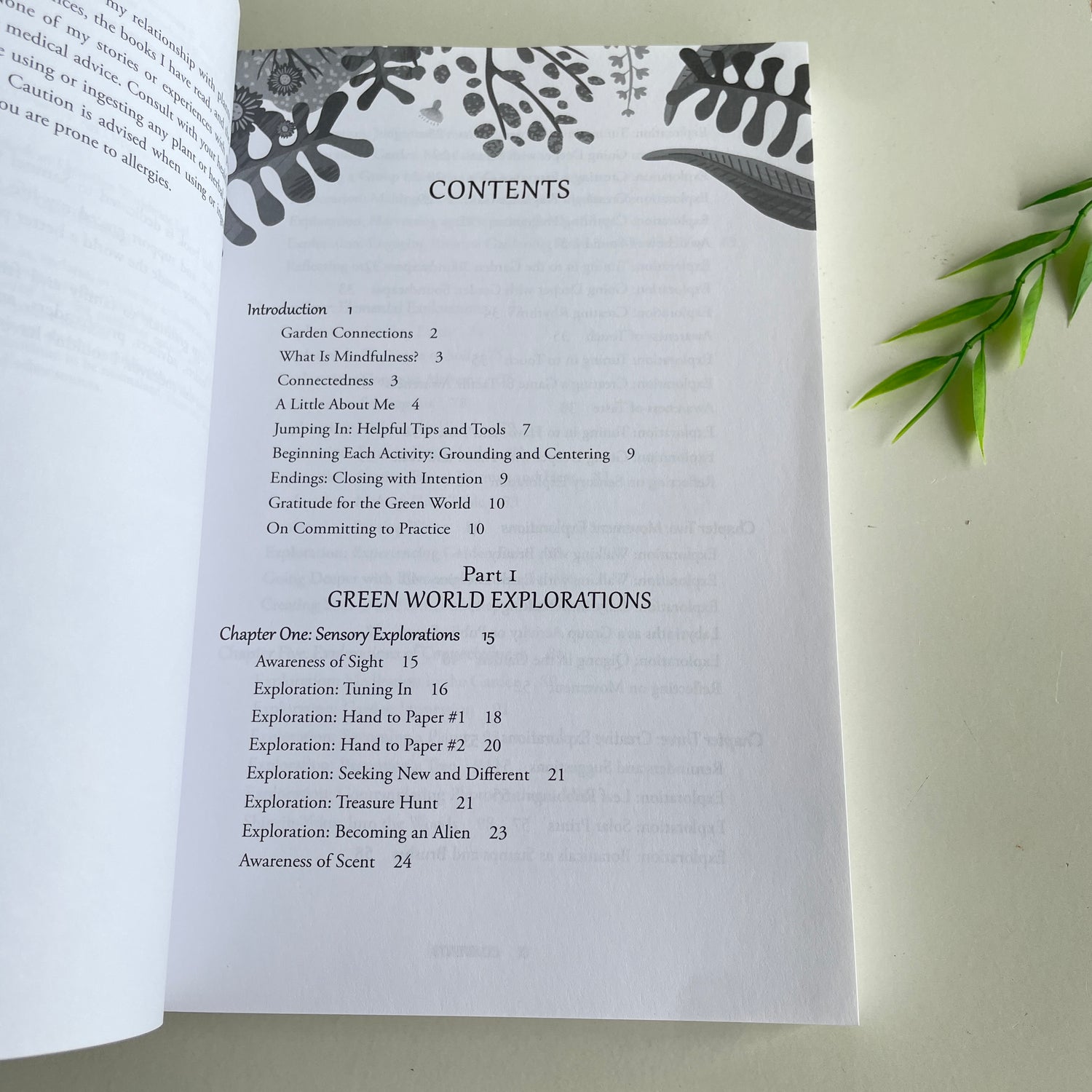 Growing Mindful Joann Calabrese