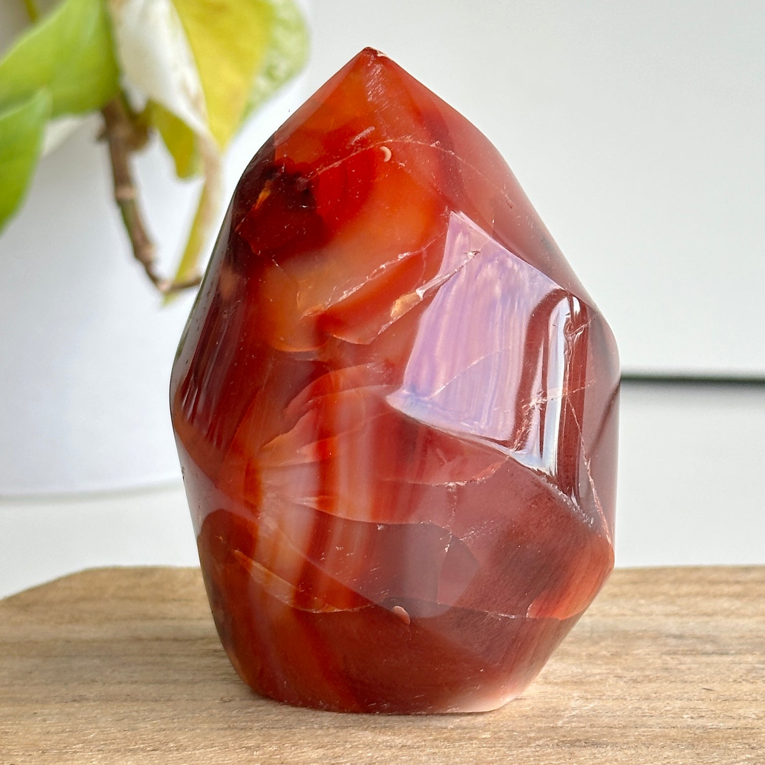 Carnelian Flame 8.3cm