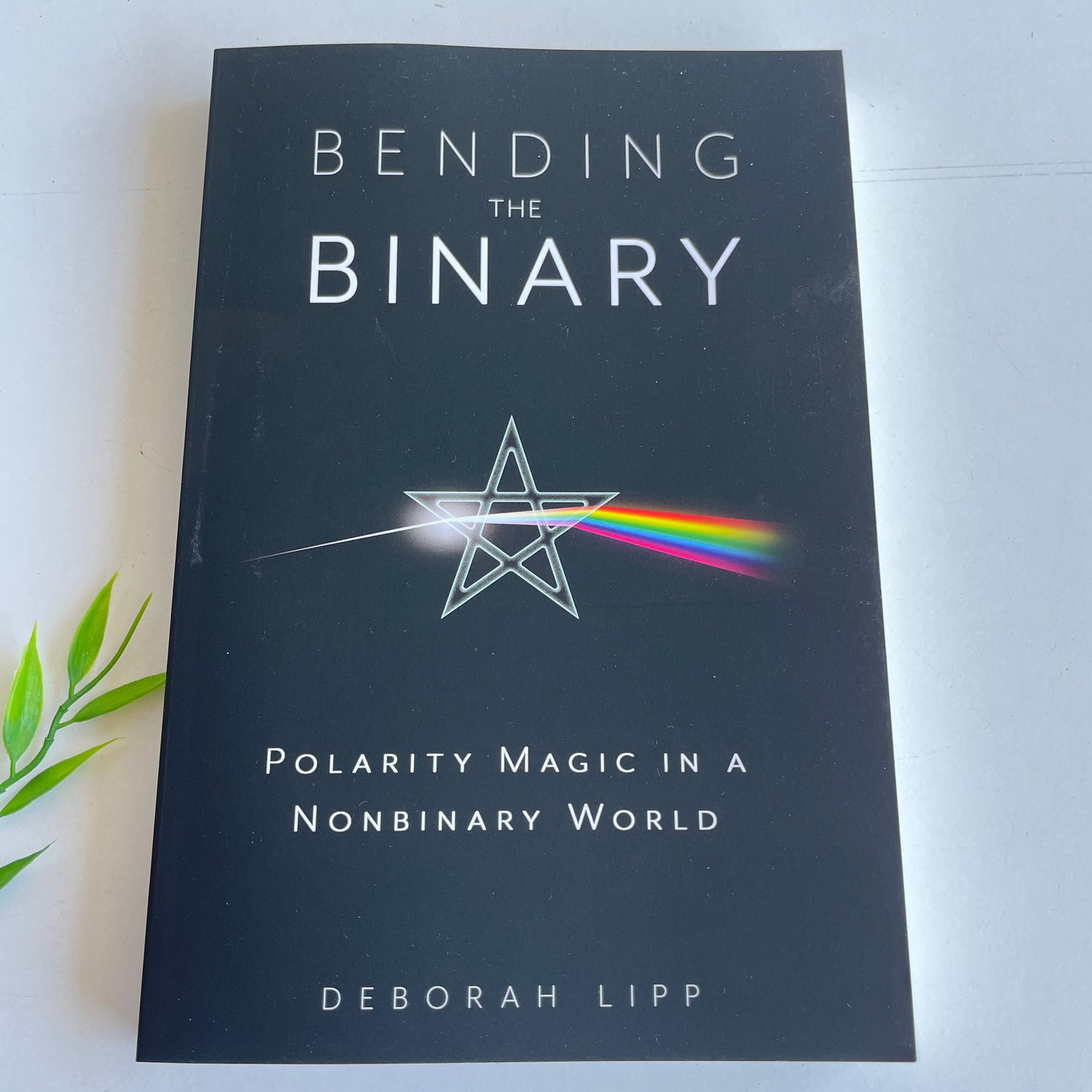 Bending The Binary Deborah Lipp