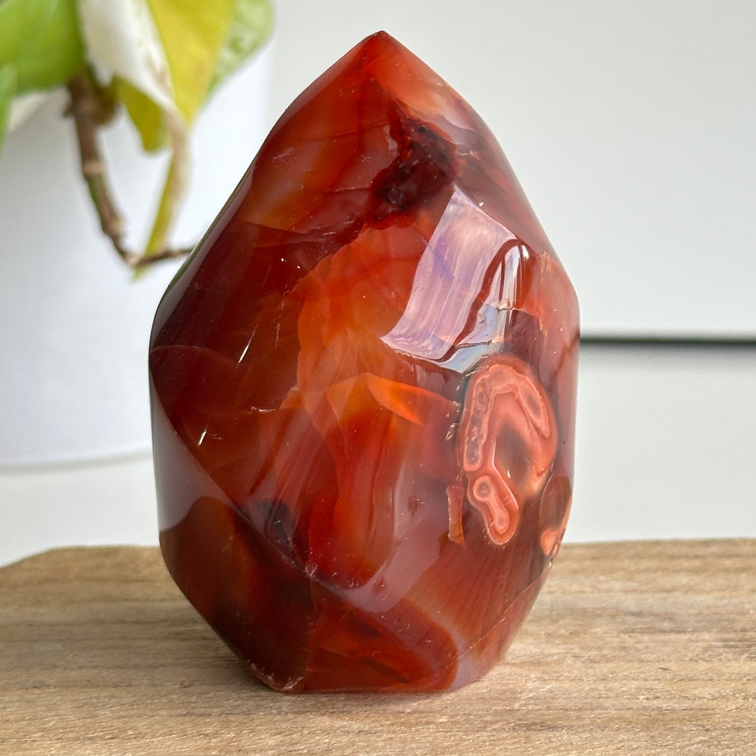 Carnelian Flame 8.3cm