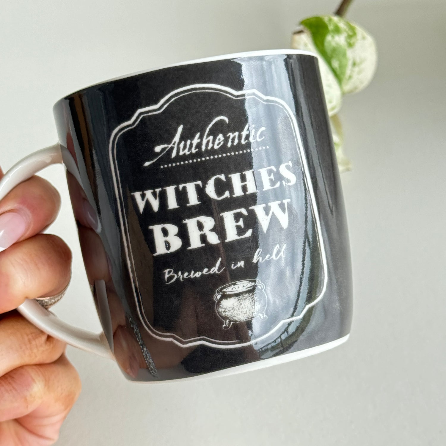 Witches Brew Bone China Mug MUGBRWIT