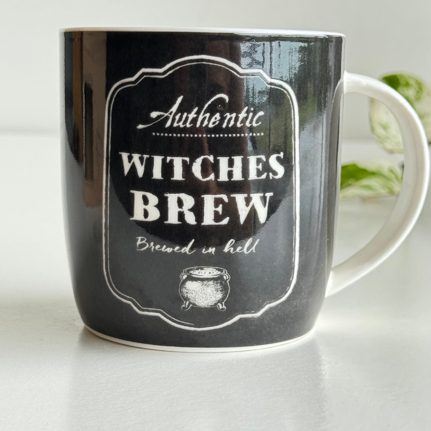 Witches Brew Bone China Mug MUGBRWIT