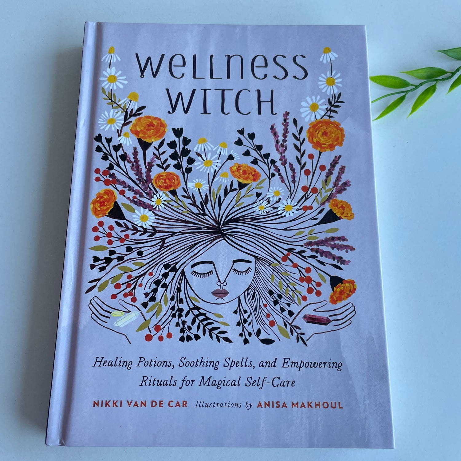 Wellness Witch Nikki Van De Car