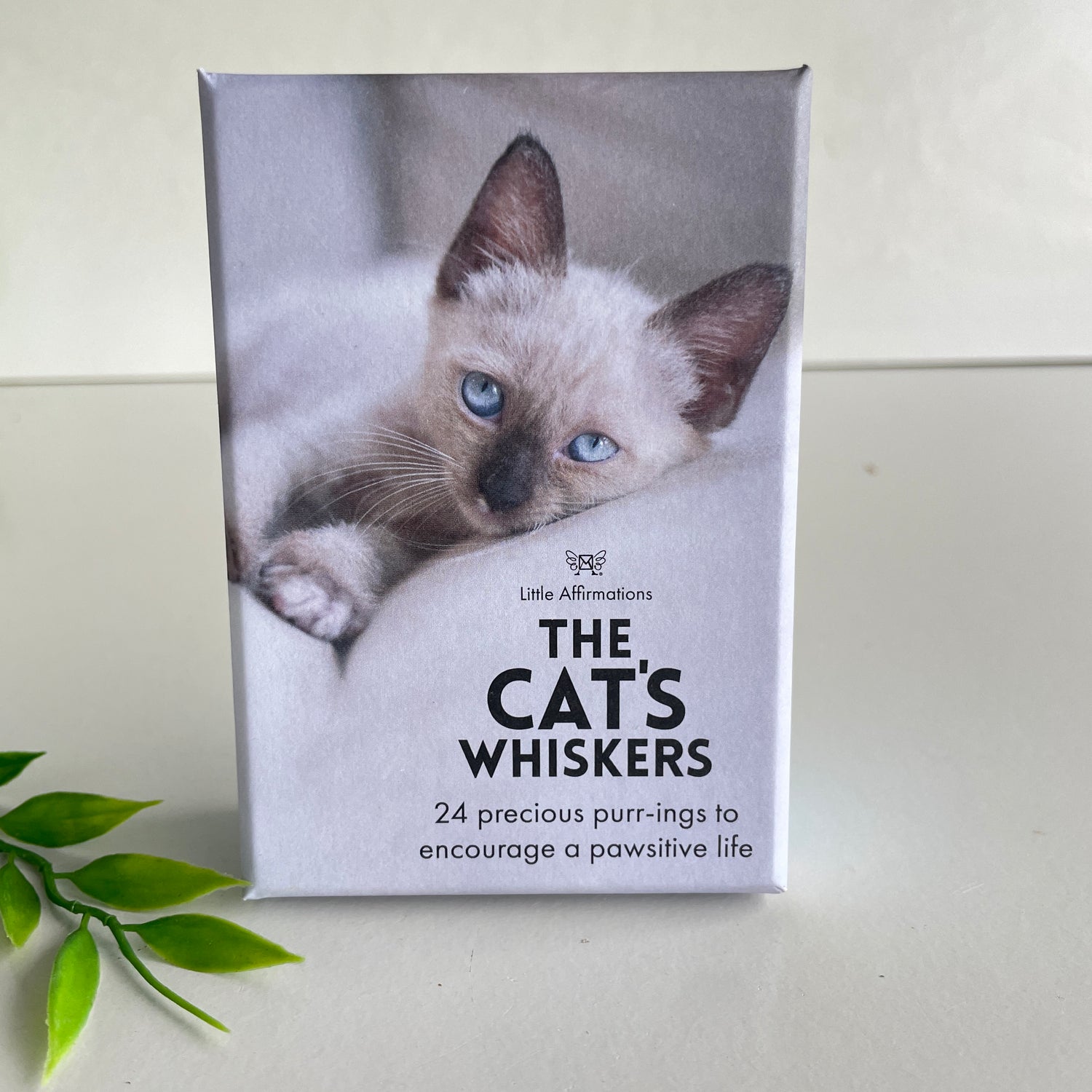 The Cats Whiskers Little Affirmations DCW.