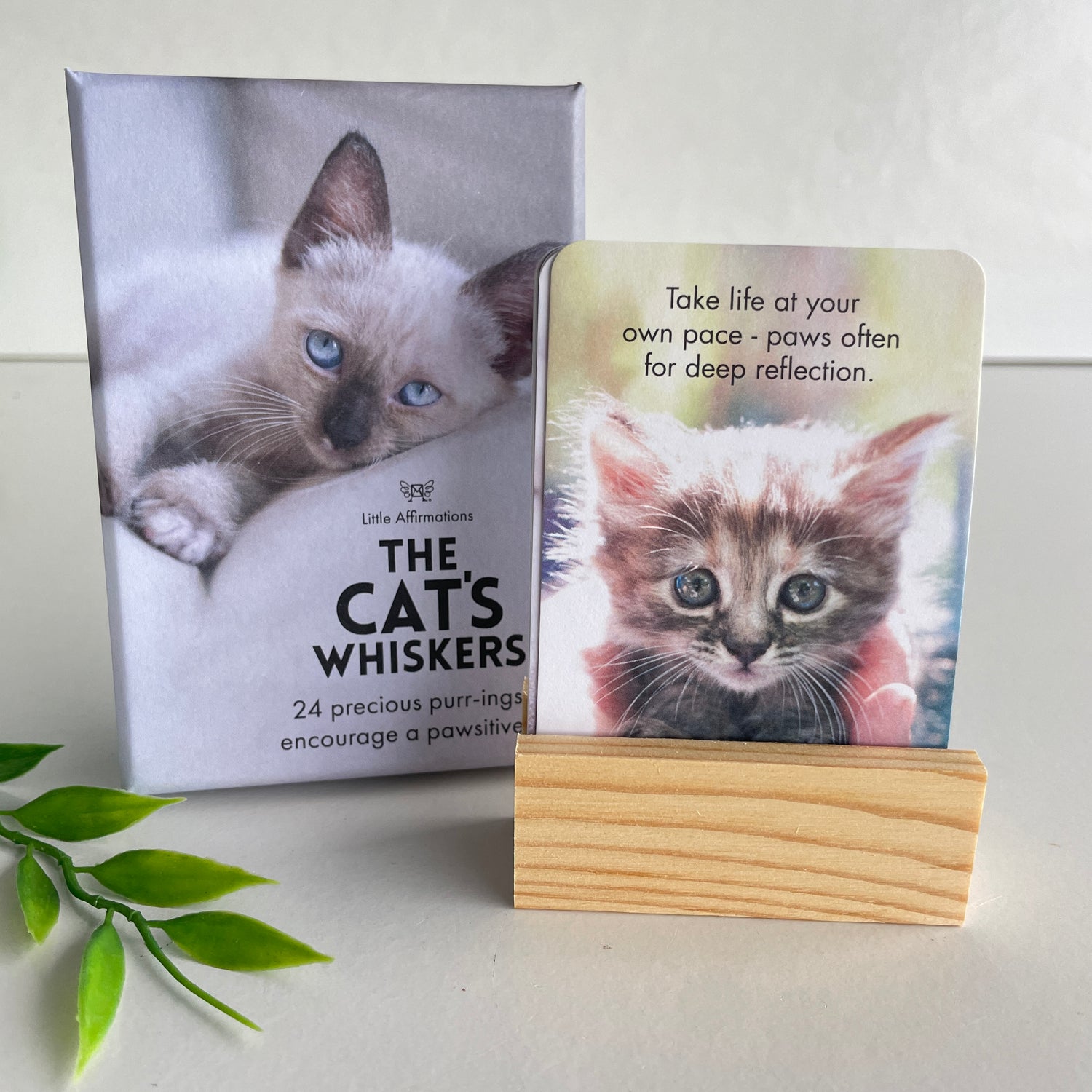 The Cats Whiskers Little Affirmations DCW.
