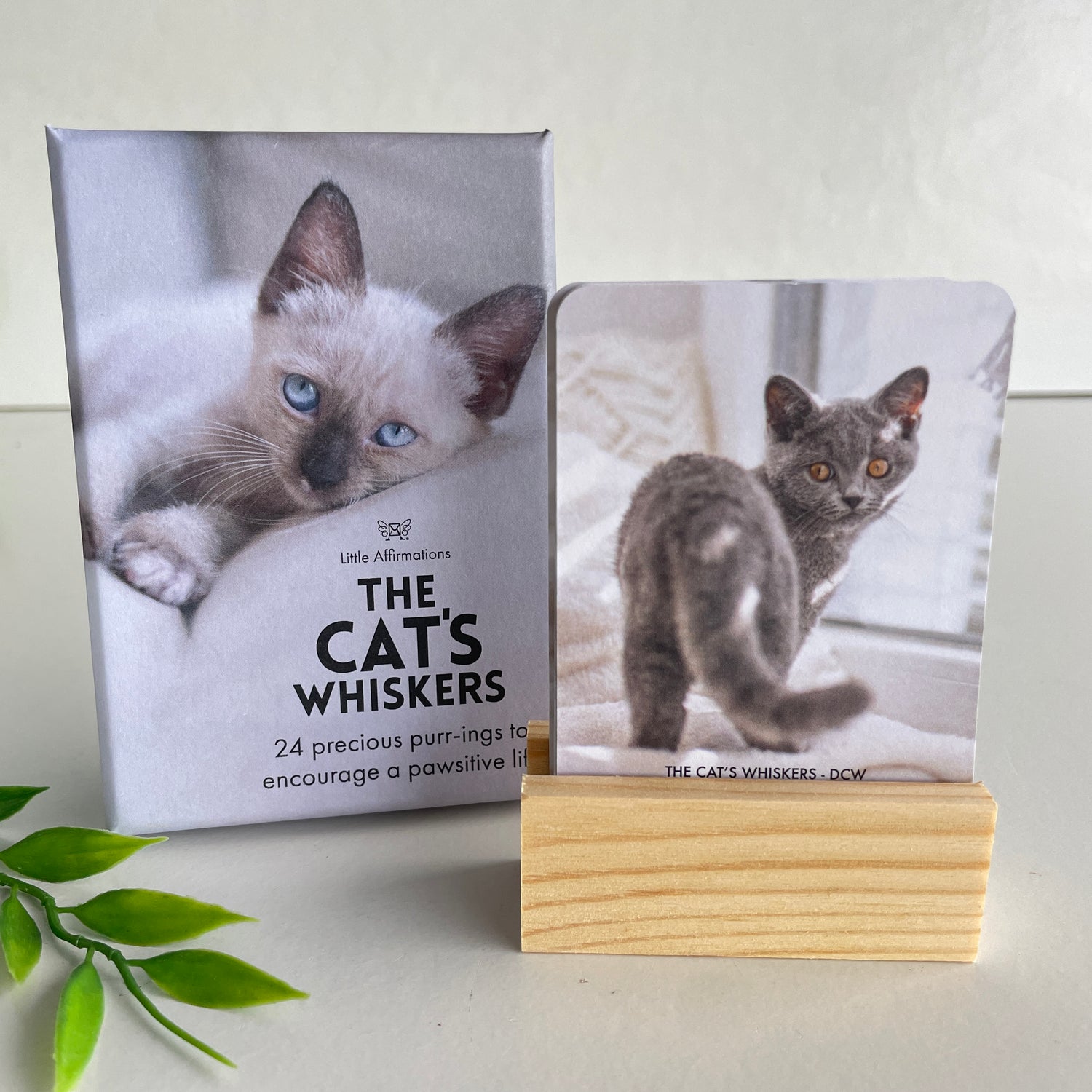 The Cats Whiskers Little Affirmations DCW.