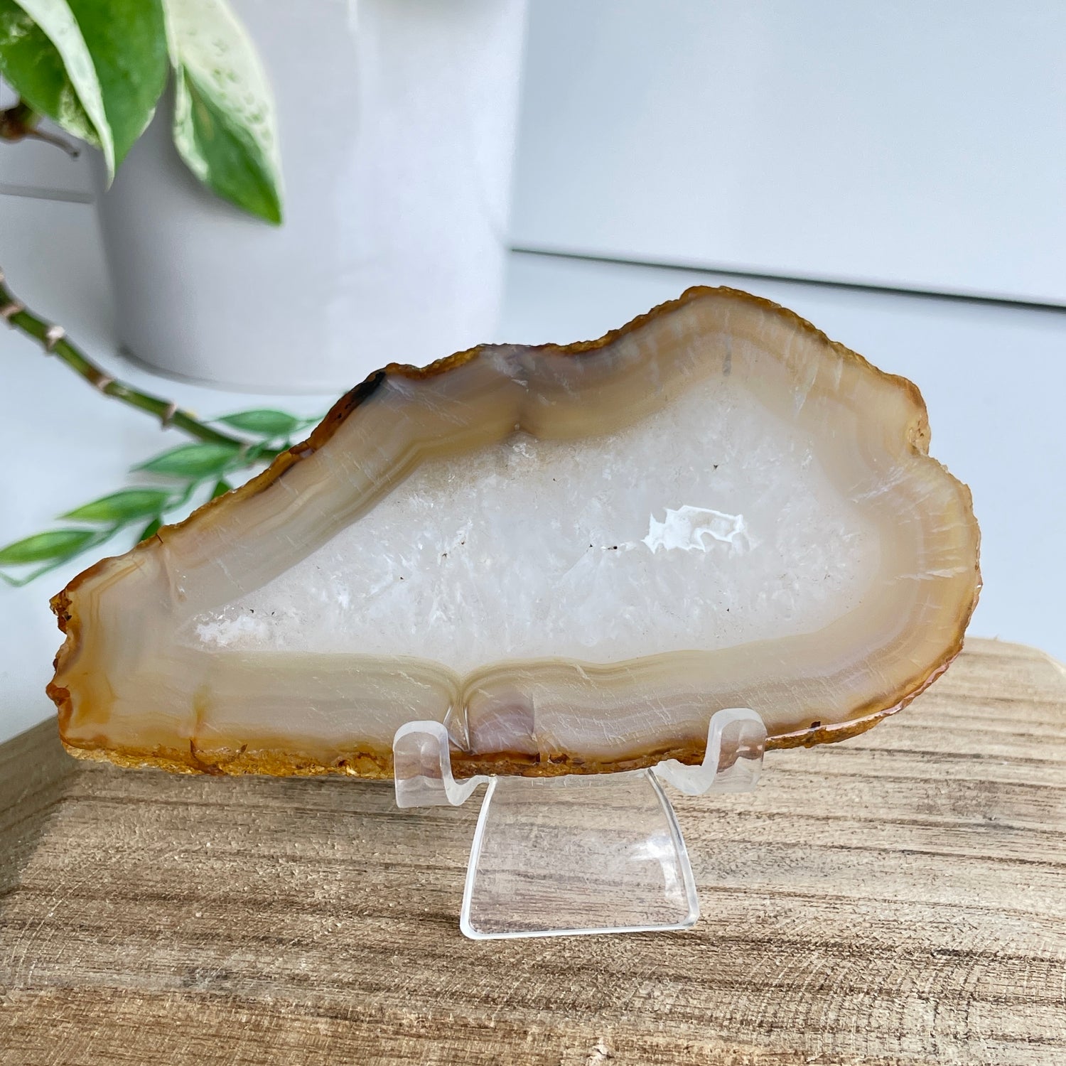 Iris Agate Slice 126g