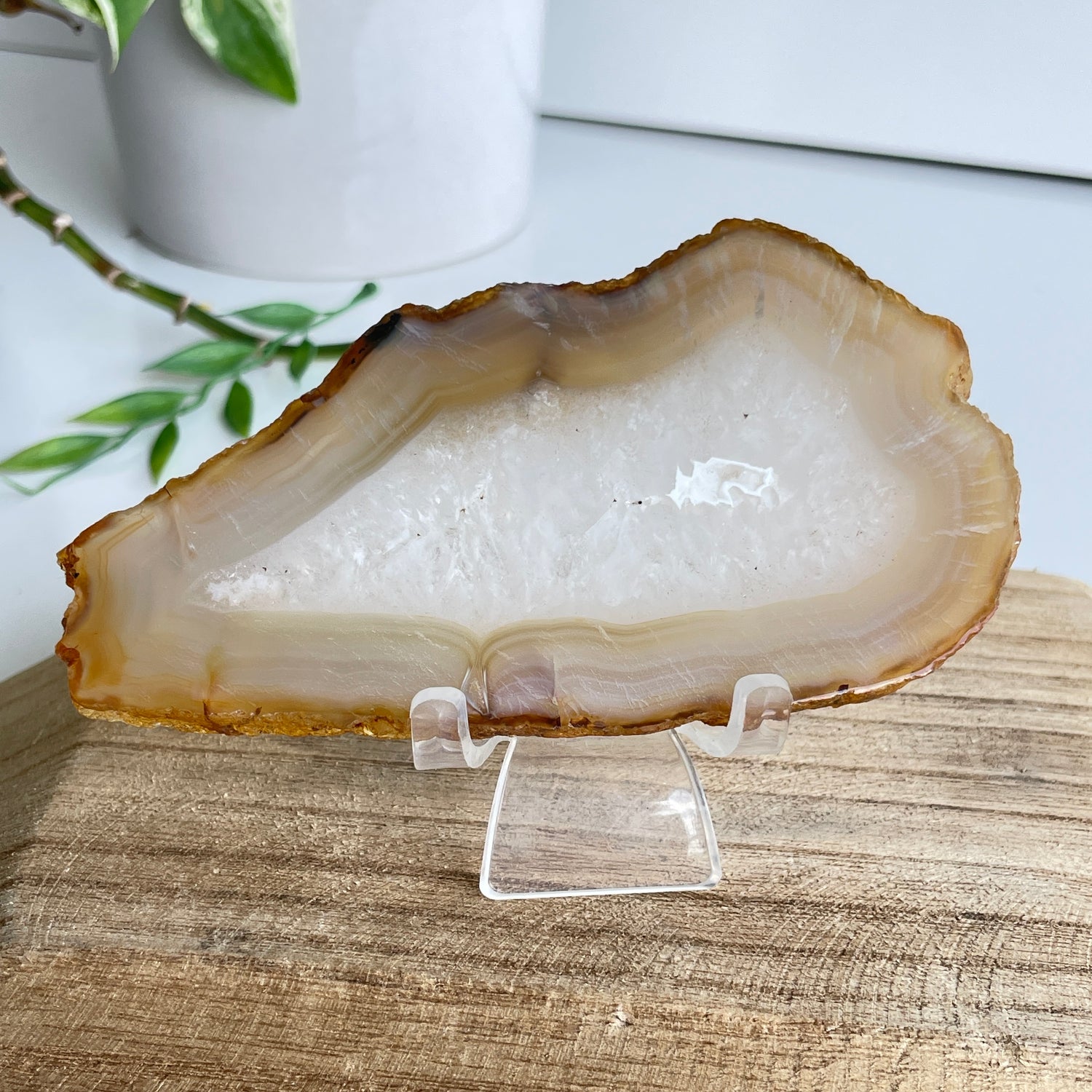 Iris Agate Slice 126g