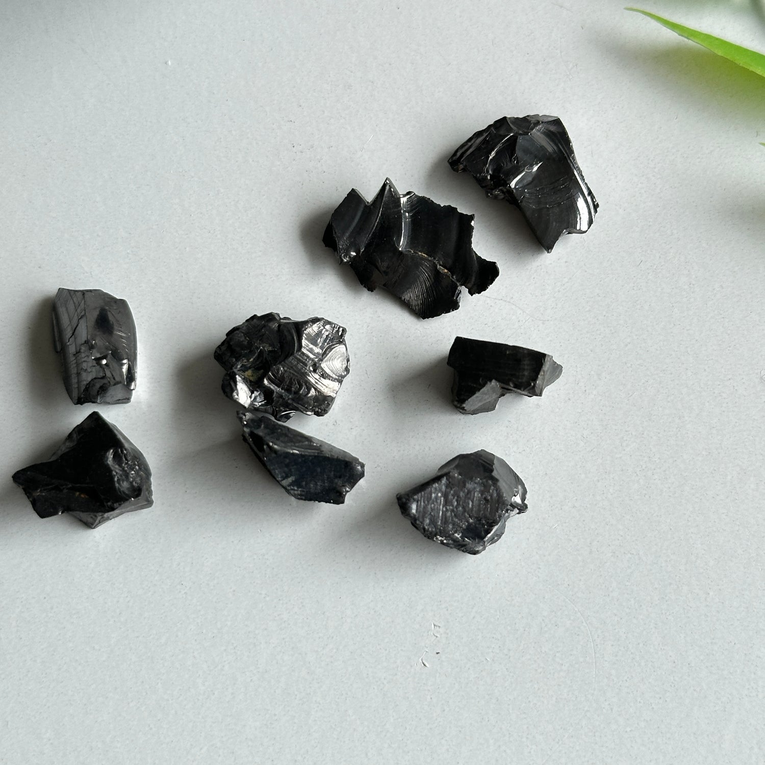 Noble Shungite Mini