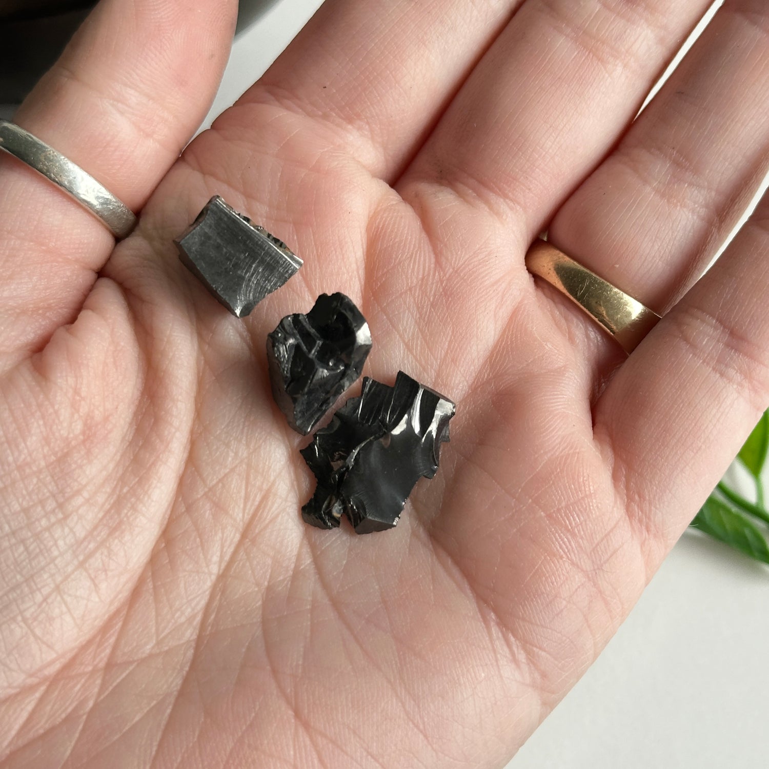 Noble Shungite Mini