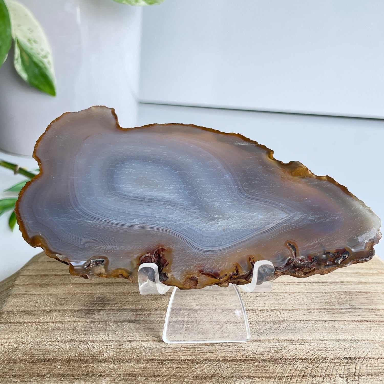 Iris Agate Slice 136g