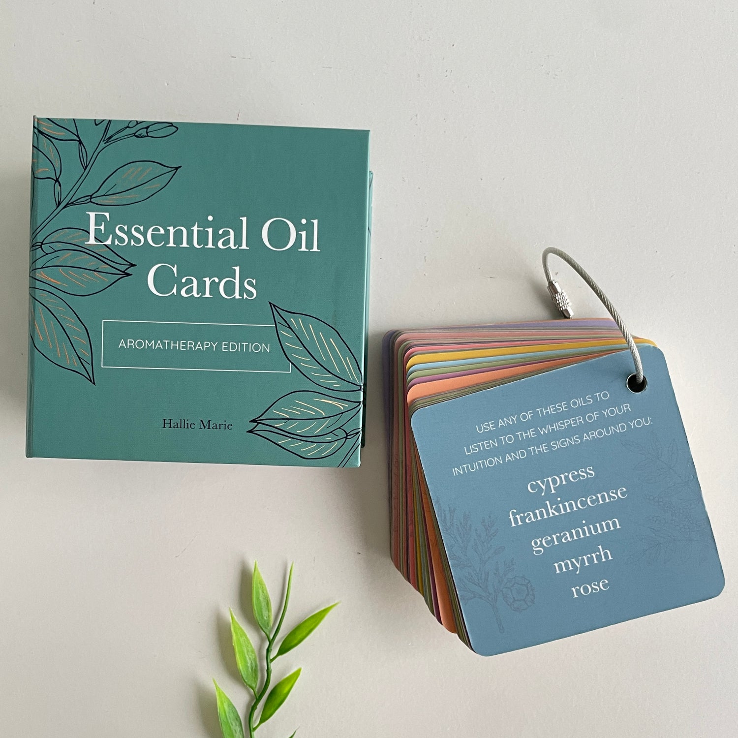 Essential Oil Cards Hallie Marie