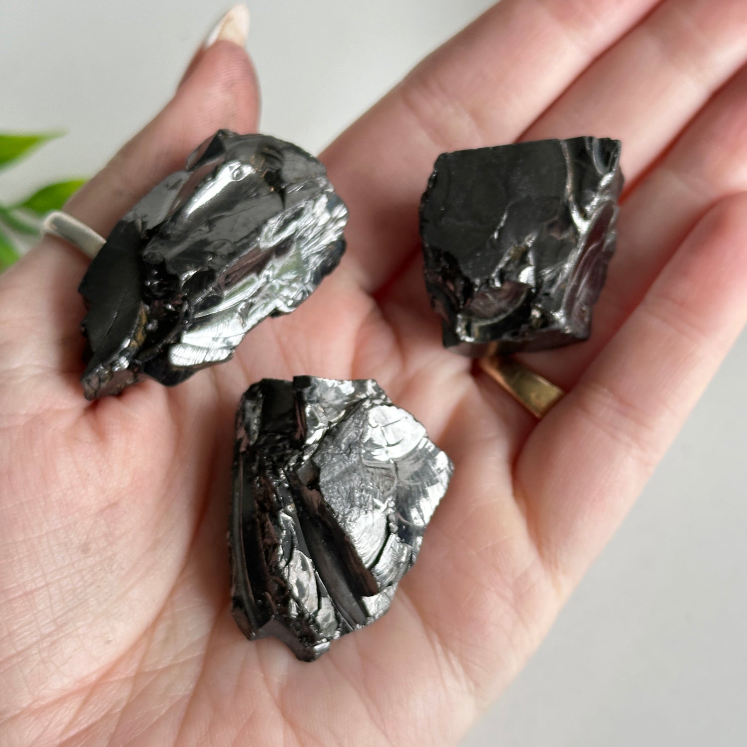 Noble Shungite Large