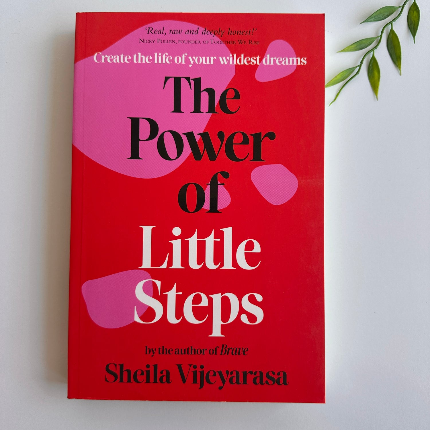 The Power Of Little Steps Sheila Vijeyarasa