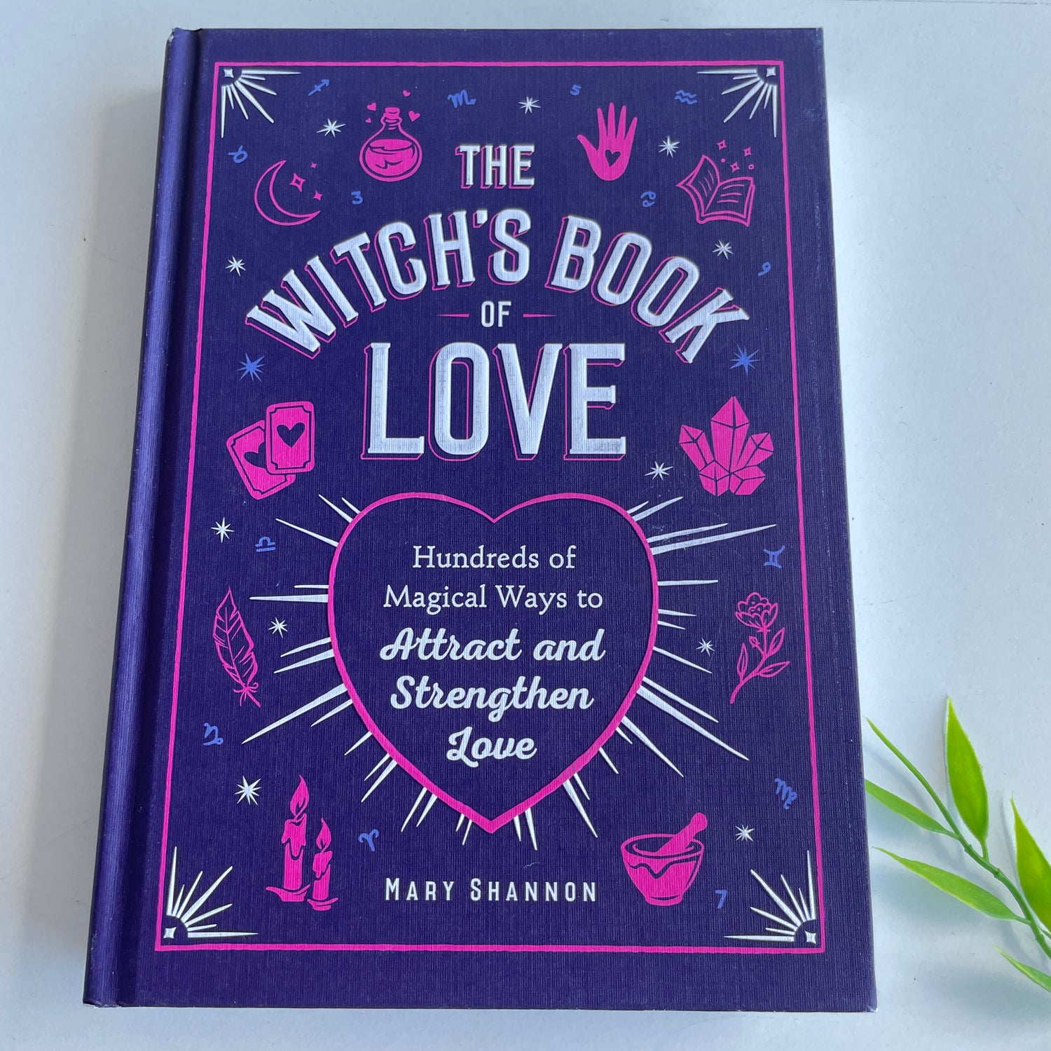 The Witch's Book Of Love Mary Shannon