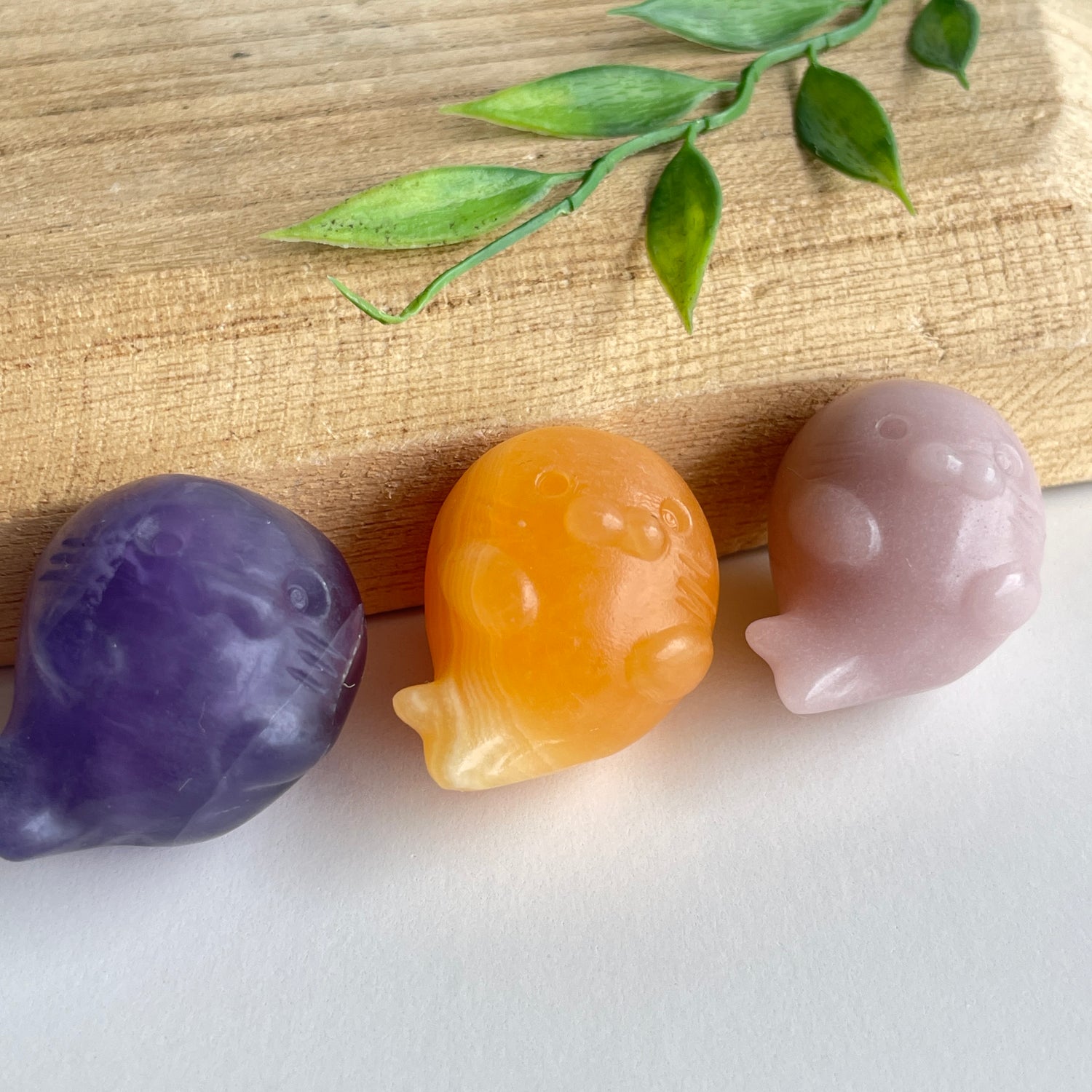 Crystal Cute Seal