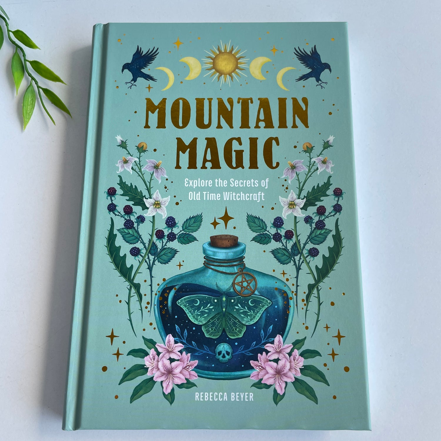 Mountain Magic Rebecca Beyer