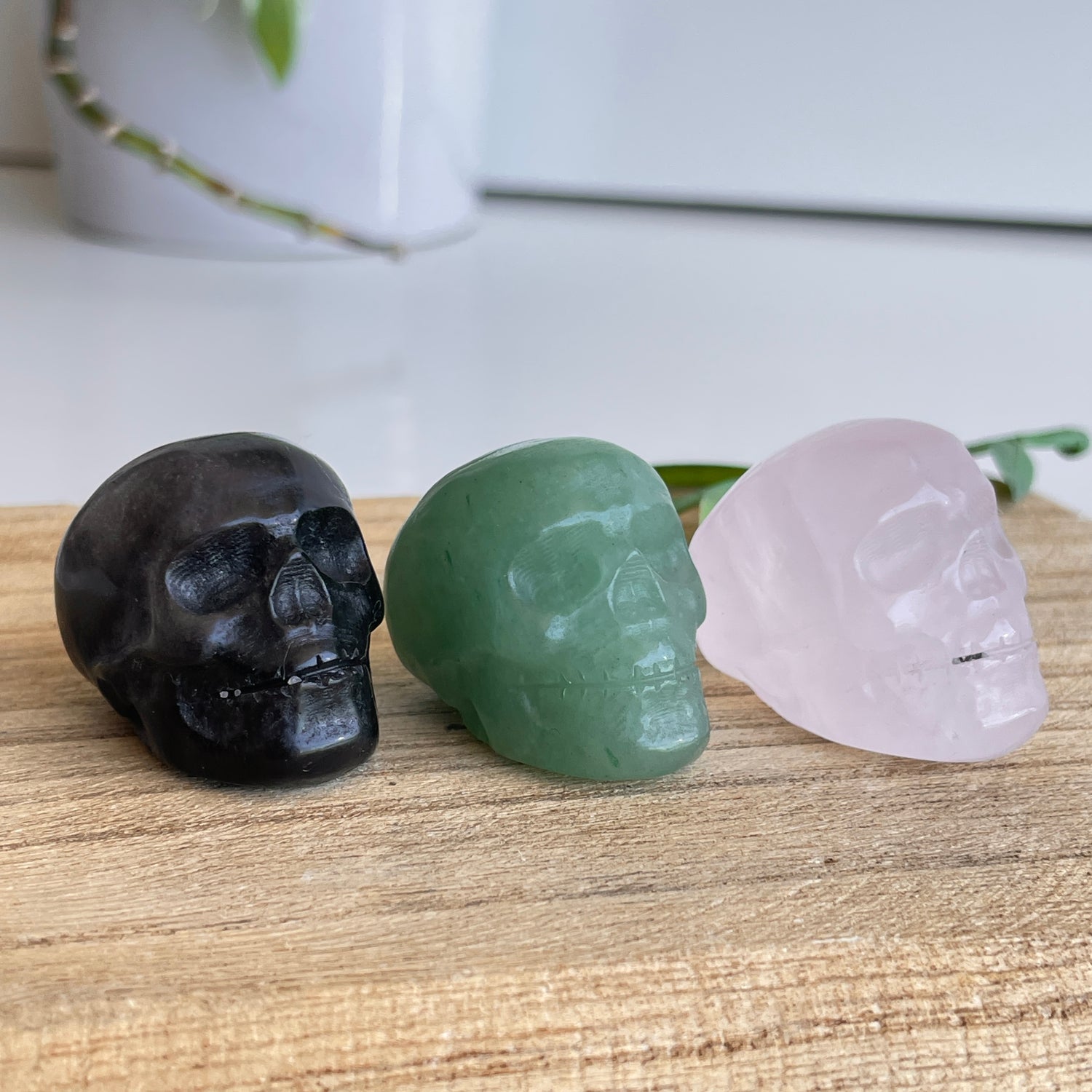 Skulls Assorted