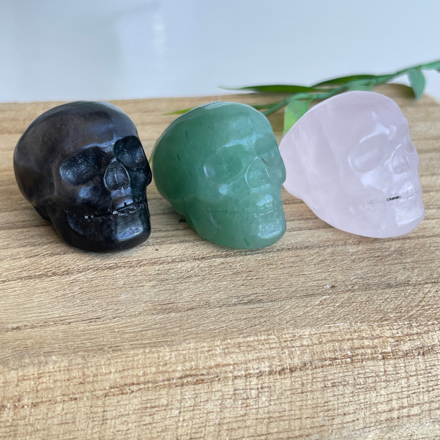 Skulls Assorted