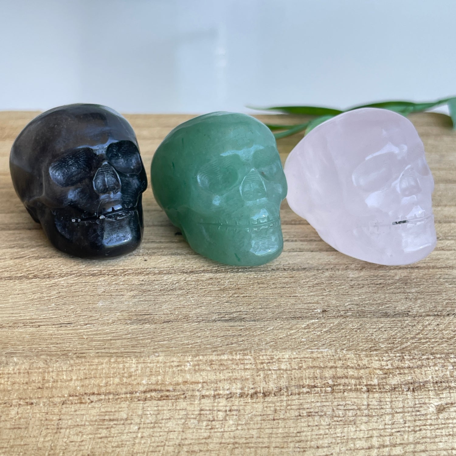 Skulls Assorted