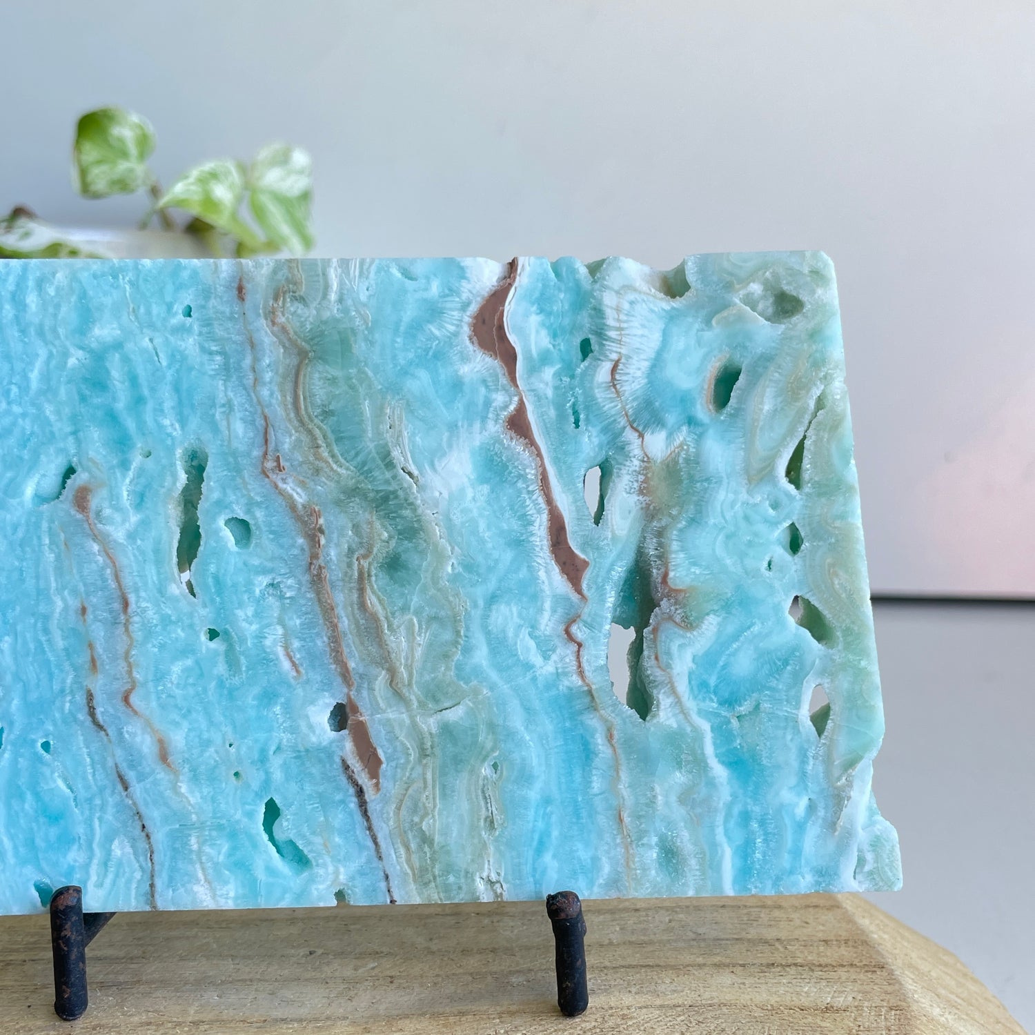 Aragonite Slice 318g