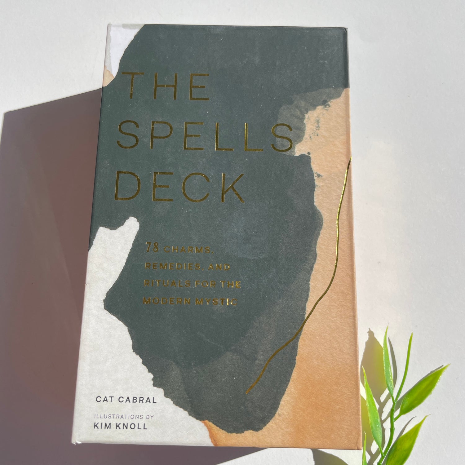 The Spells Deck Cat Cabral