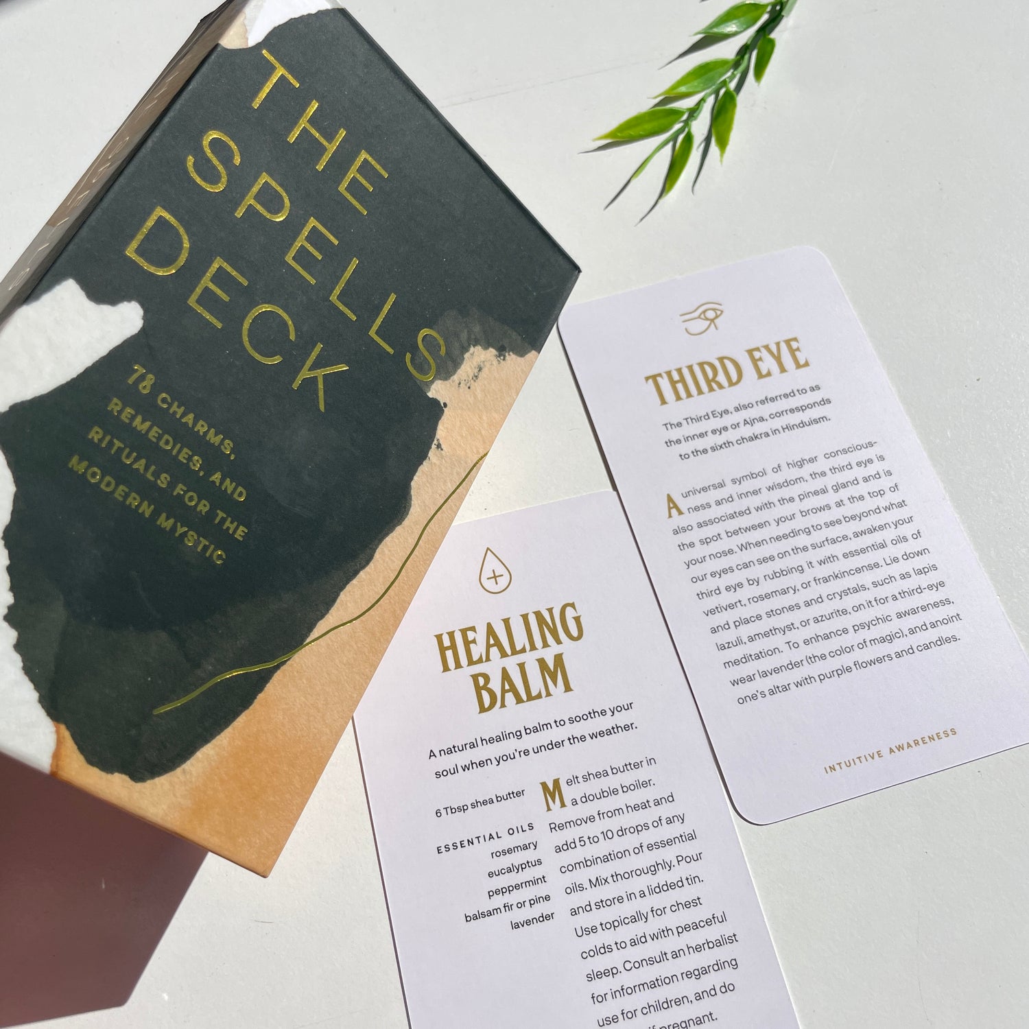 The Spells Deck Cat Cabral