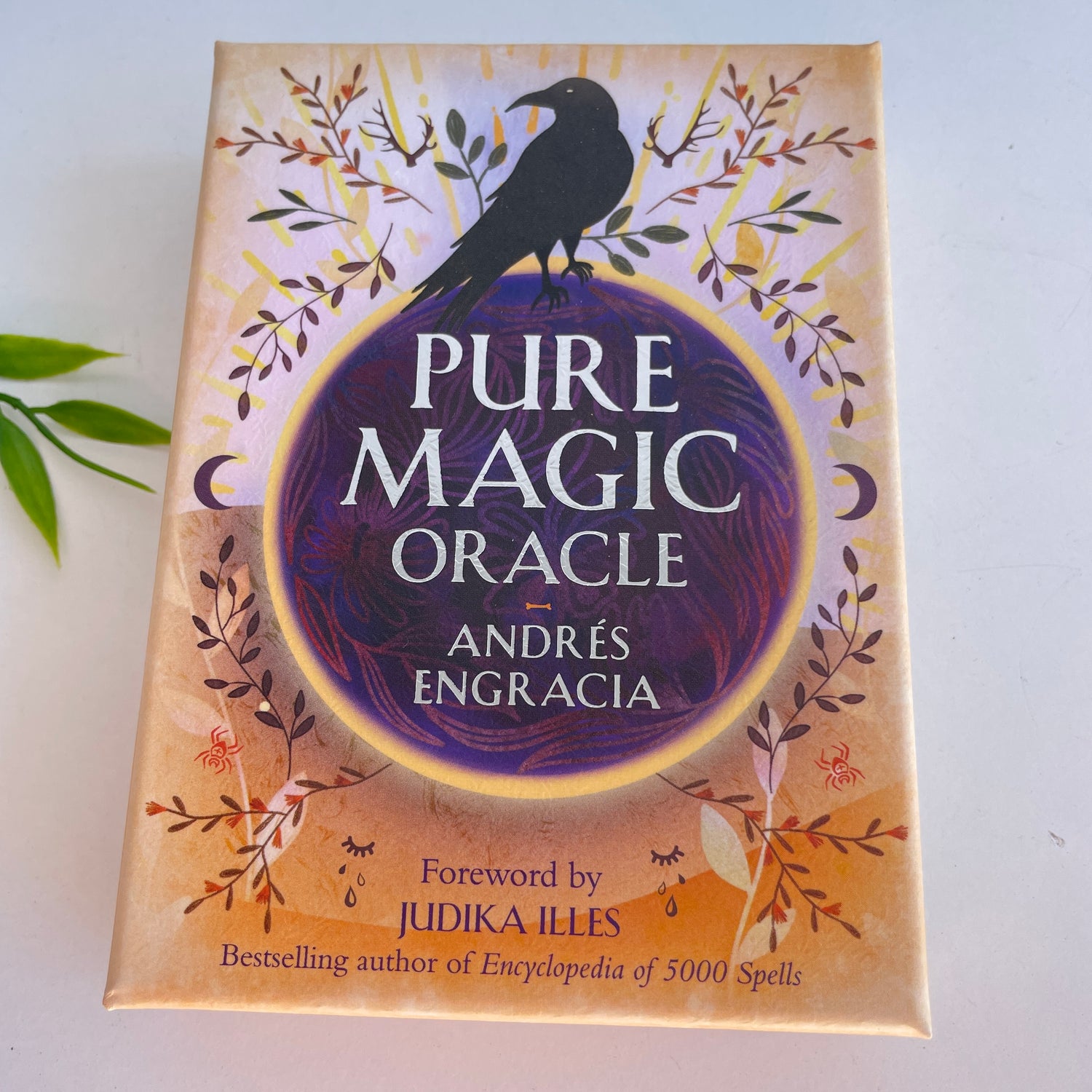 Pure Magic Oracle Cards Andres Engracia