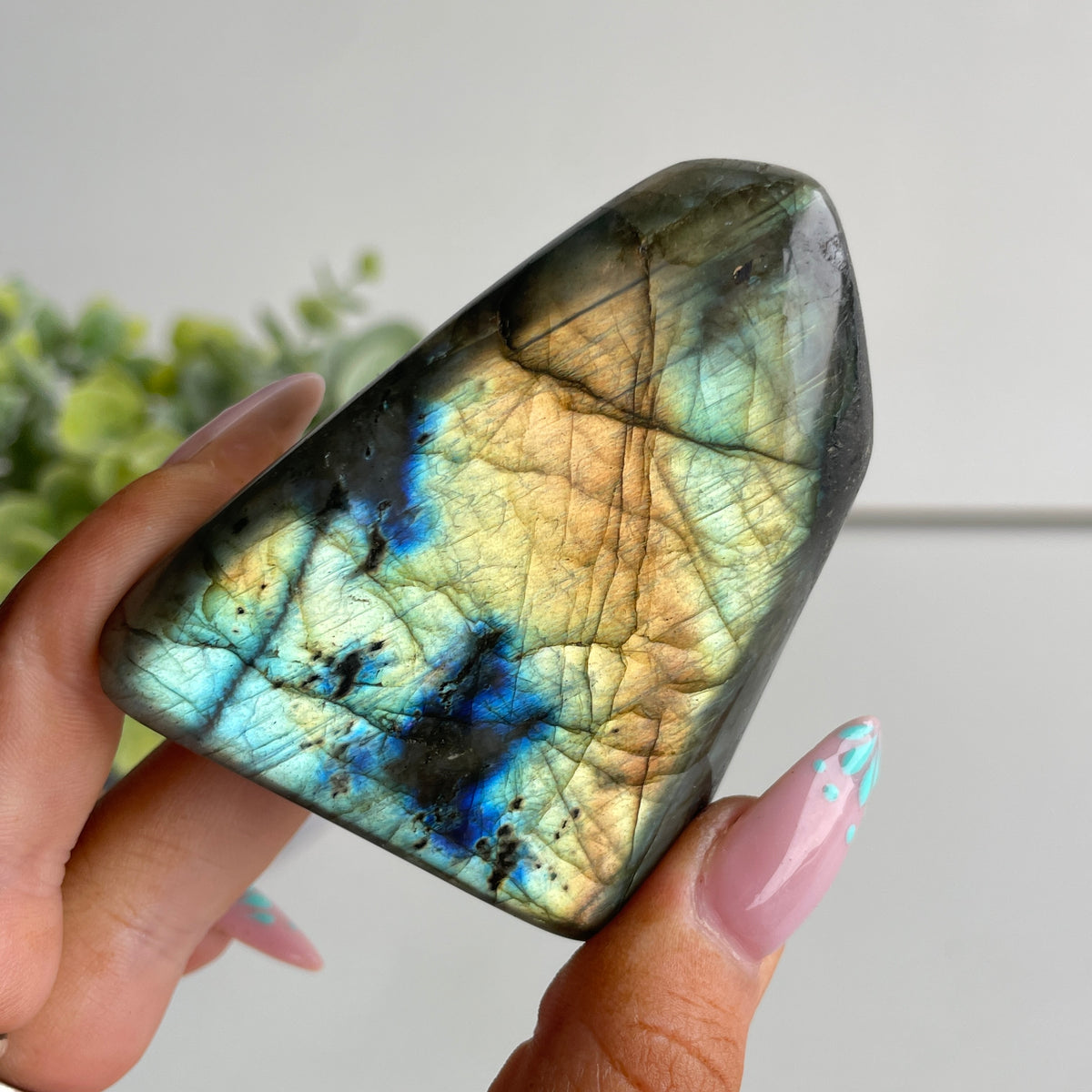 Labradorite Freeform 154g