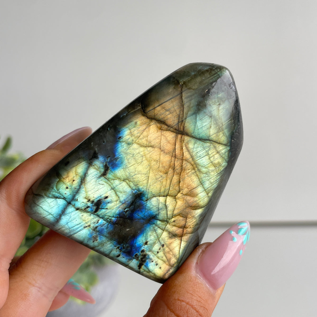 Labradorite Freeform 154g