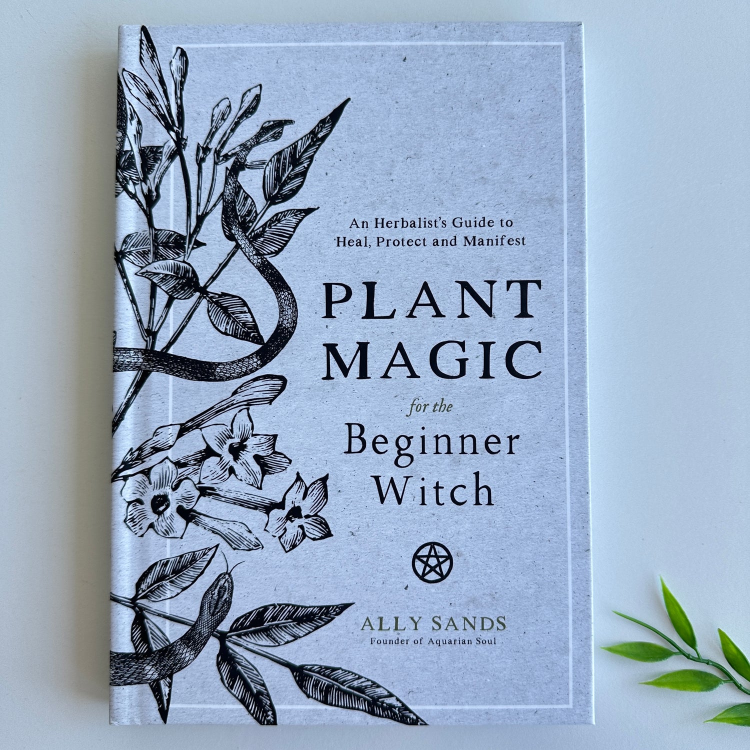 Plant Magic For The Beginner Witch Ally Sands