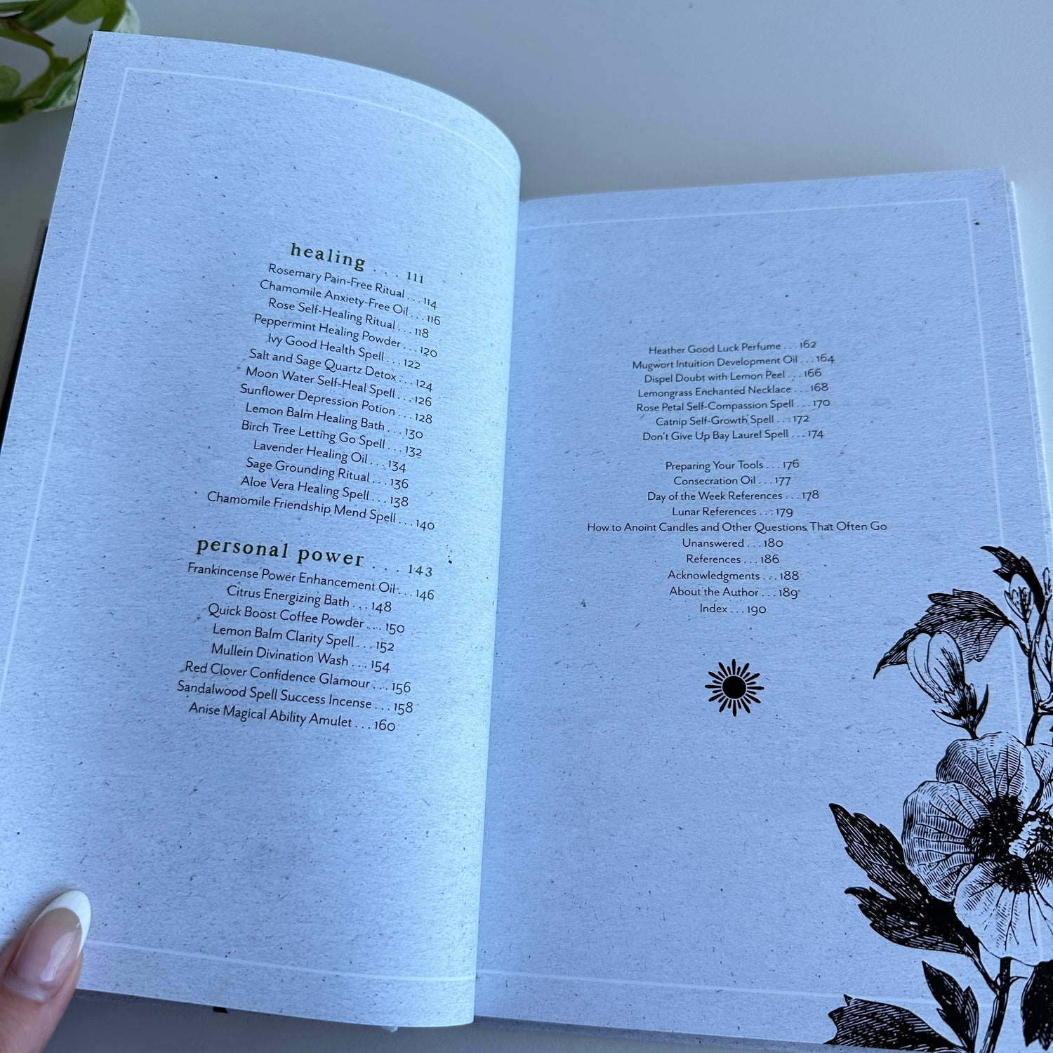 Plant Magic For The Beginner Witch Ally Sands