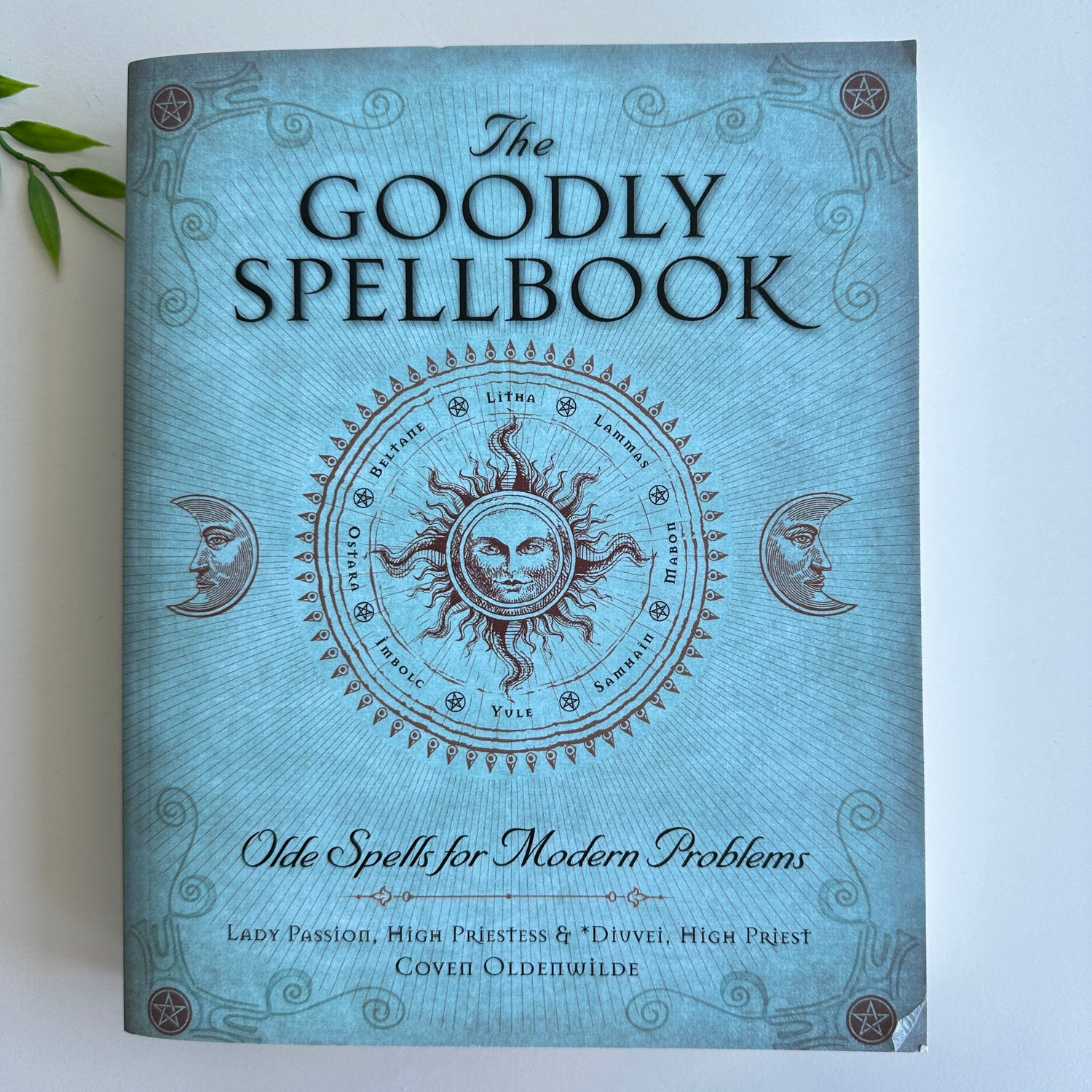 The Goodly Spellbook Lady Passion