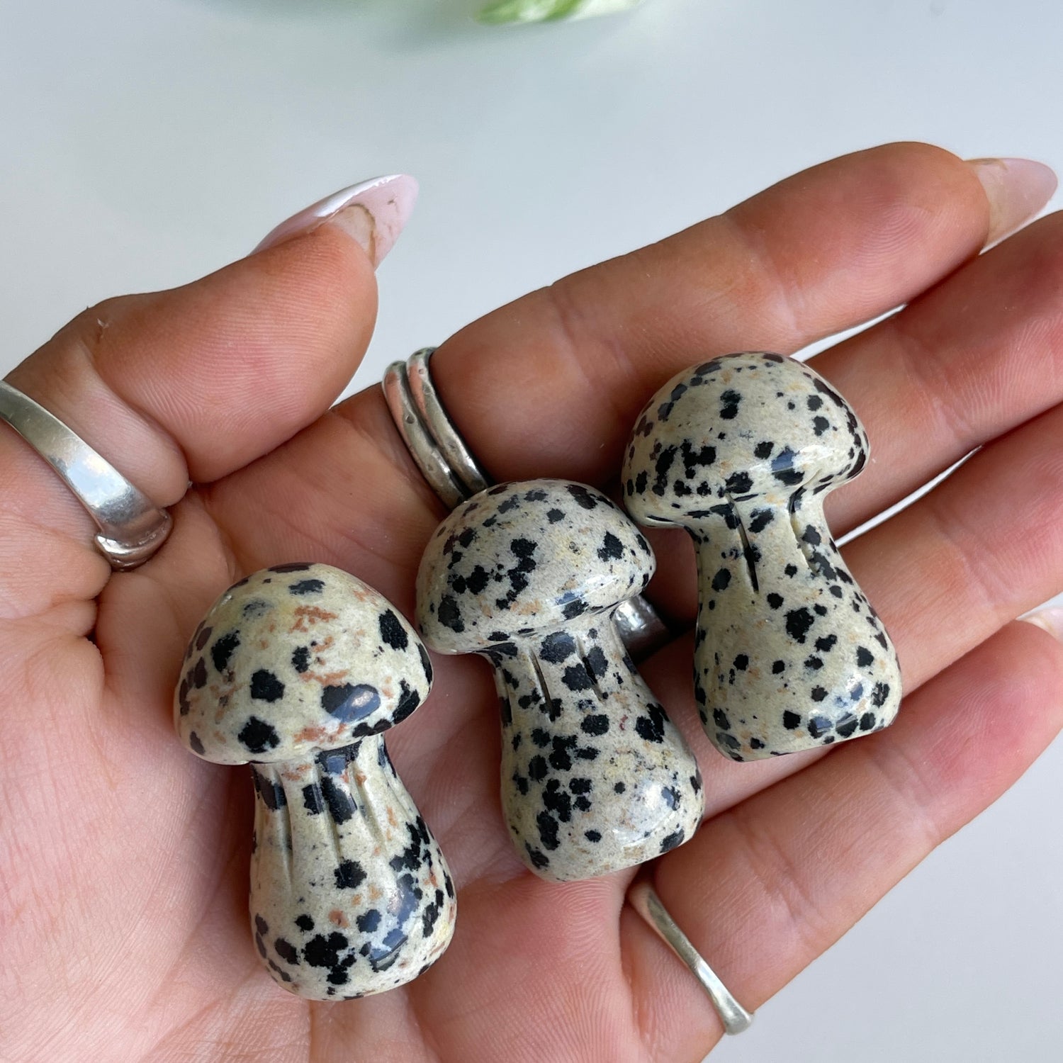 Dalmatian Mini Mushrooms