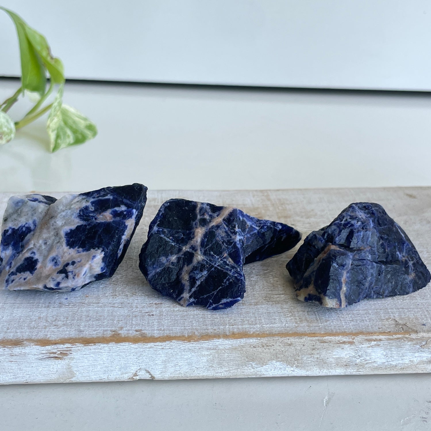 Sodalite Chunks Med