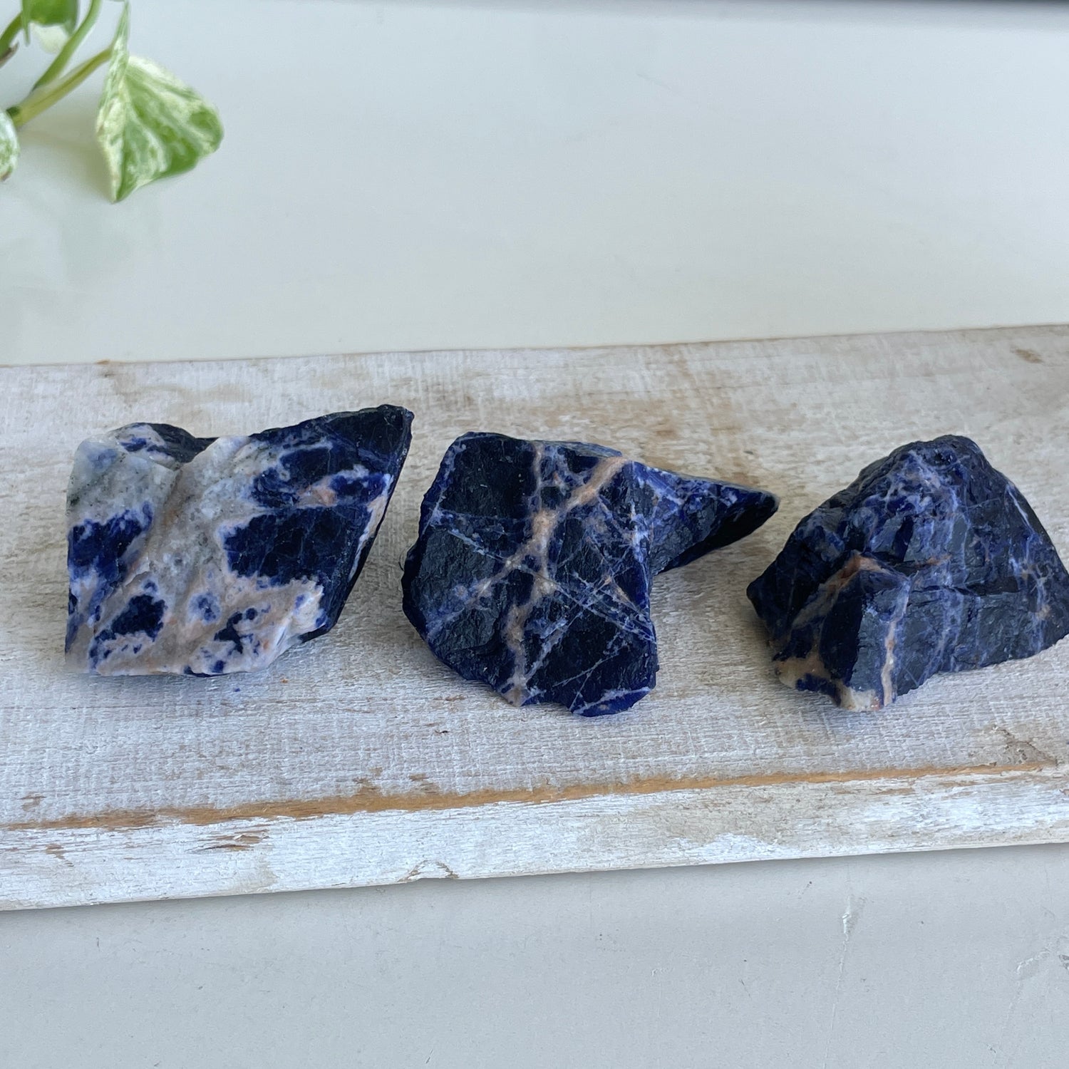 Sodalite Chunks Med