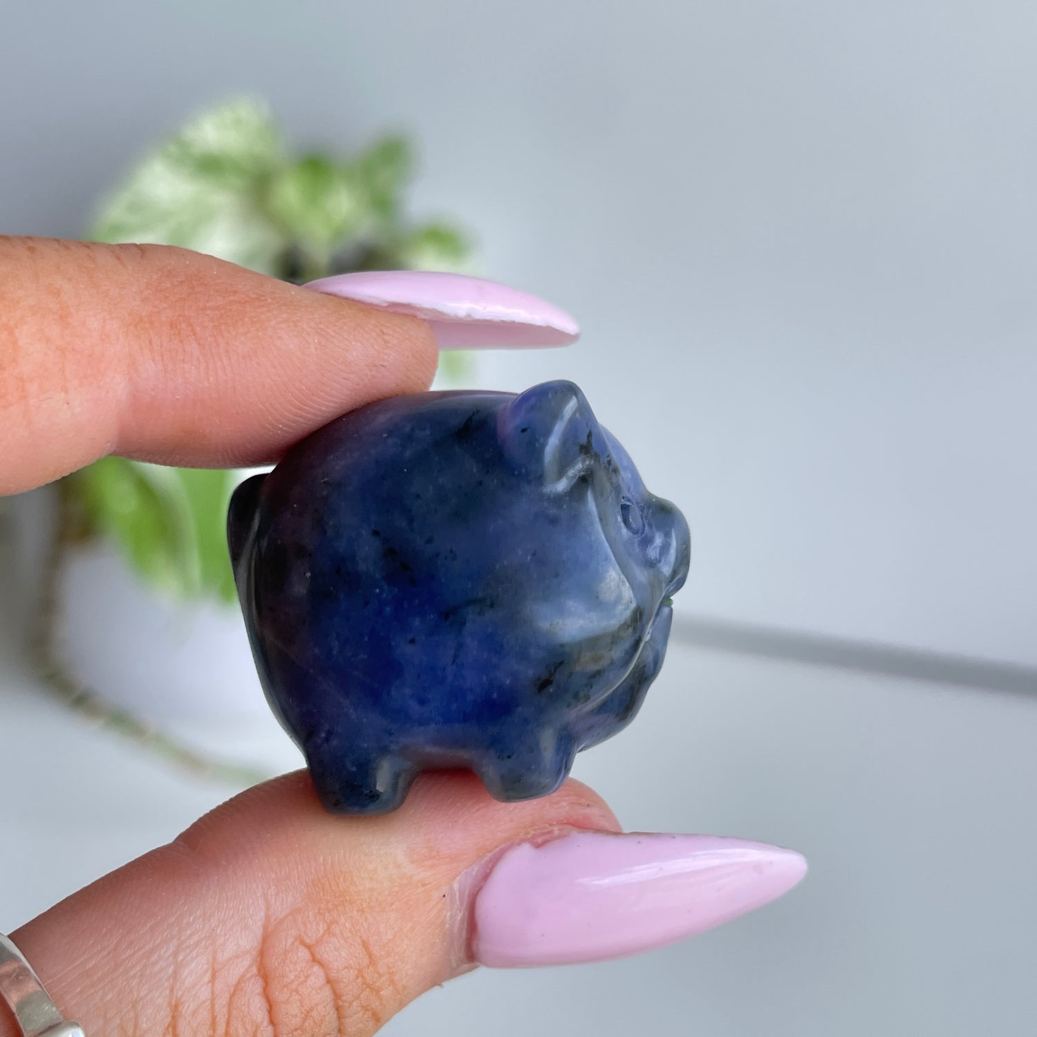 Crystal Cute Pig