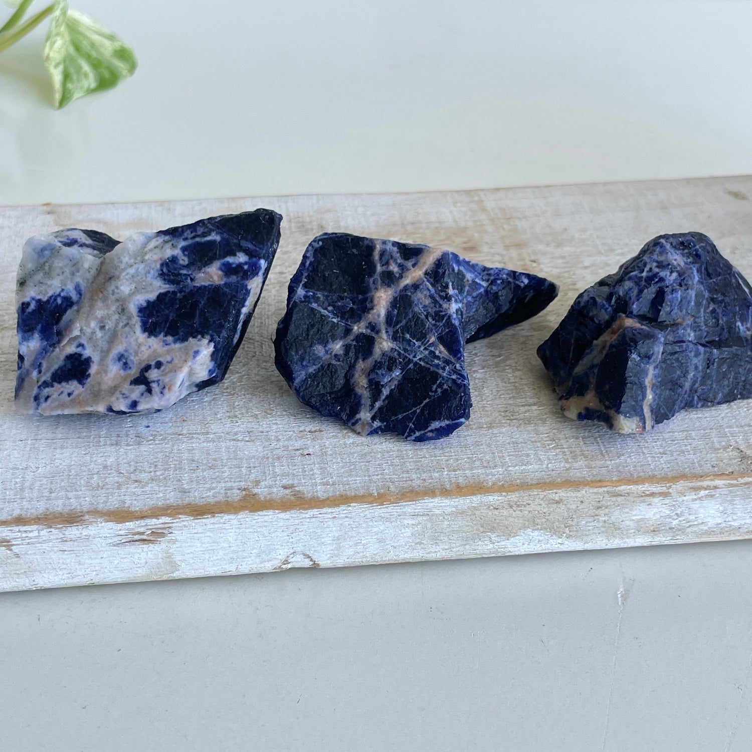 Sodalite Chunks Med