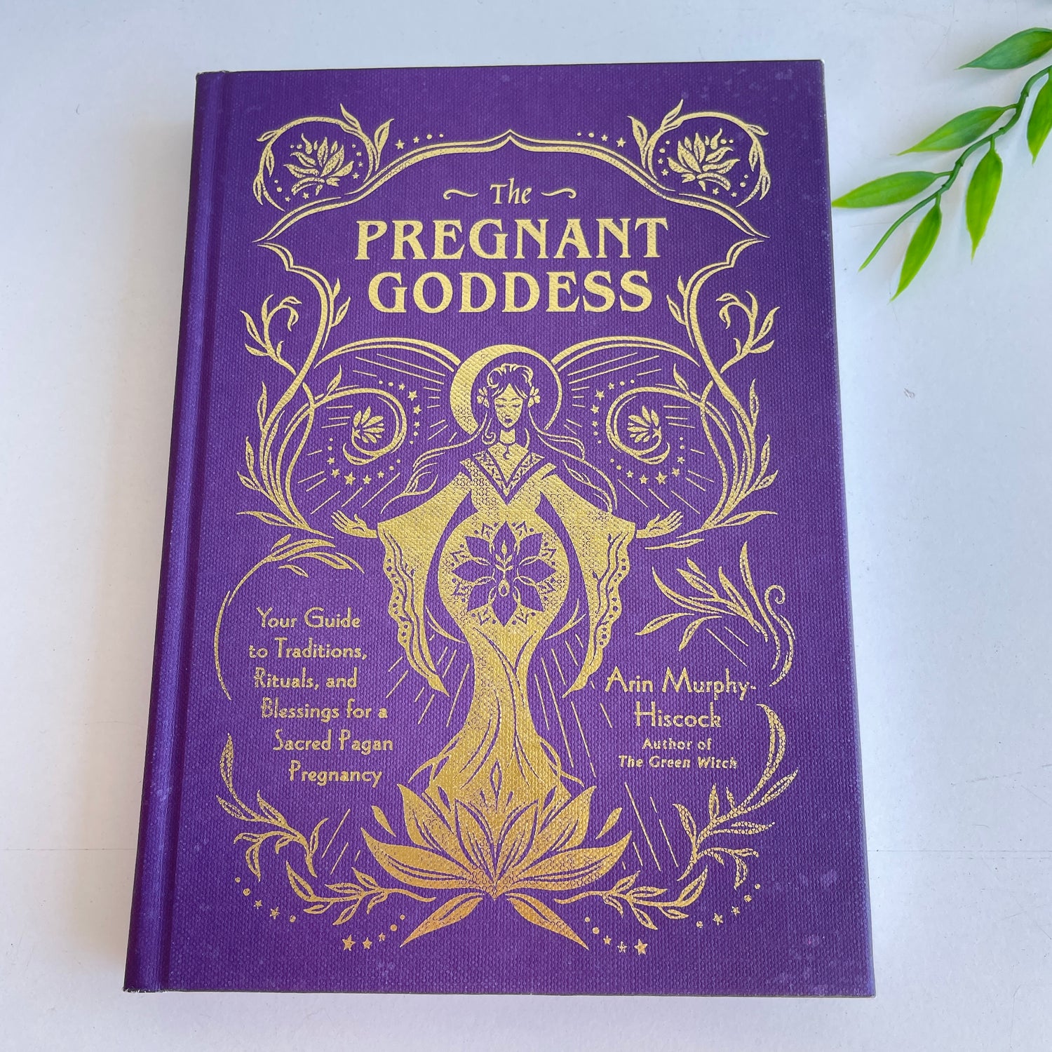 The Pregnant Goddess Arin Murphy Hiscock