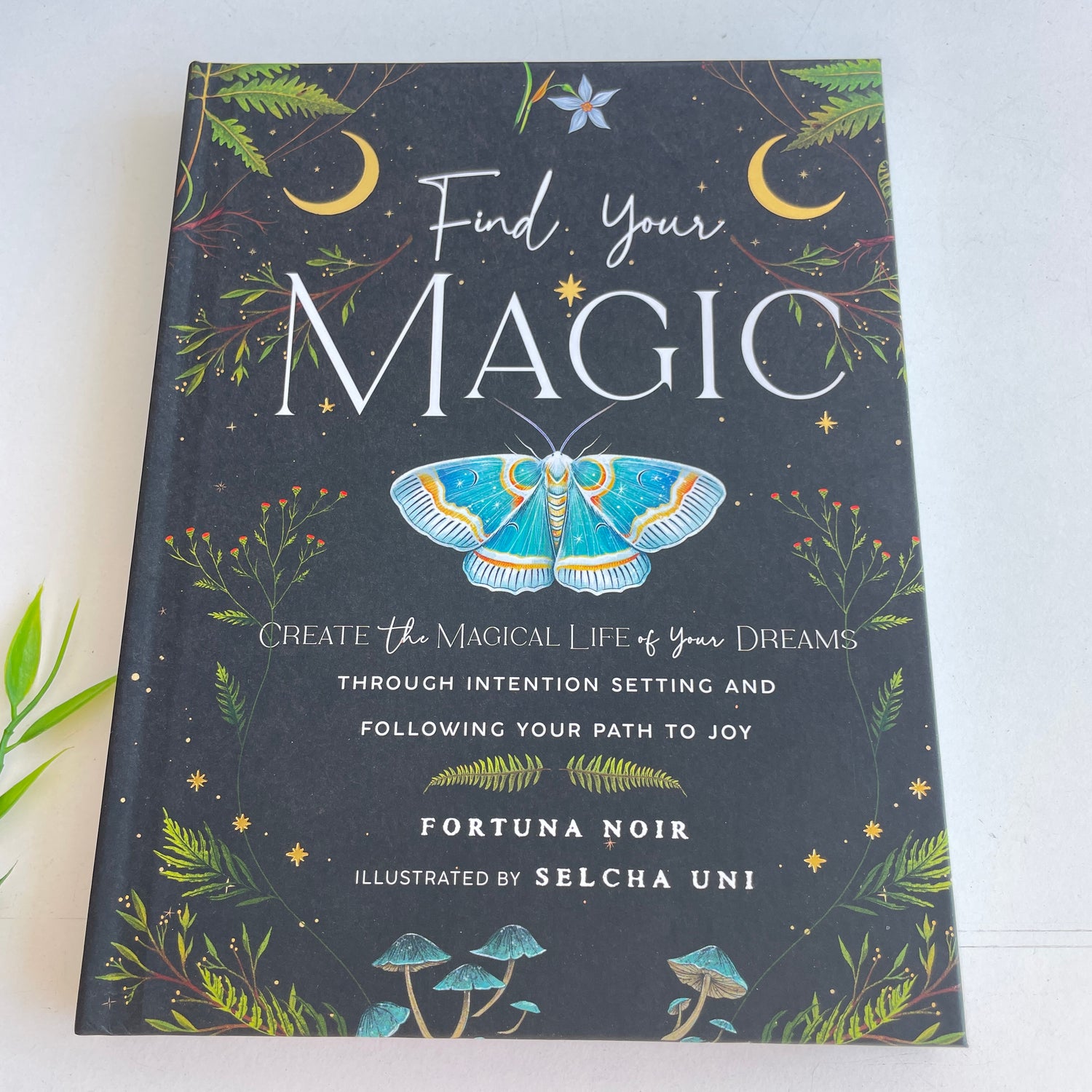 Find Your Magic Fortuna Noir